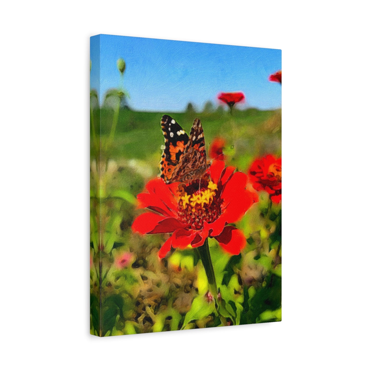 Blooms by the Back Porch Series