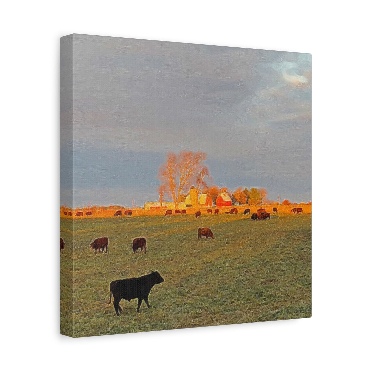 Autumn Series