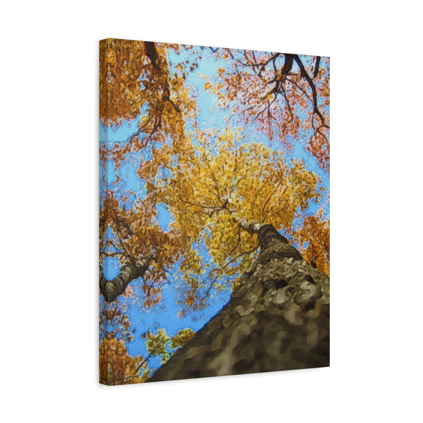 Autumn Series