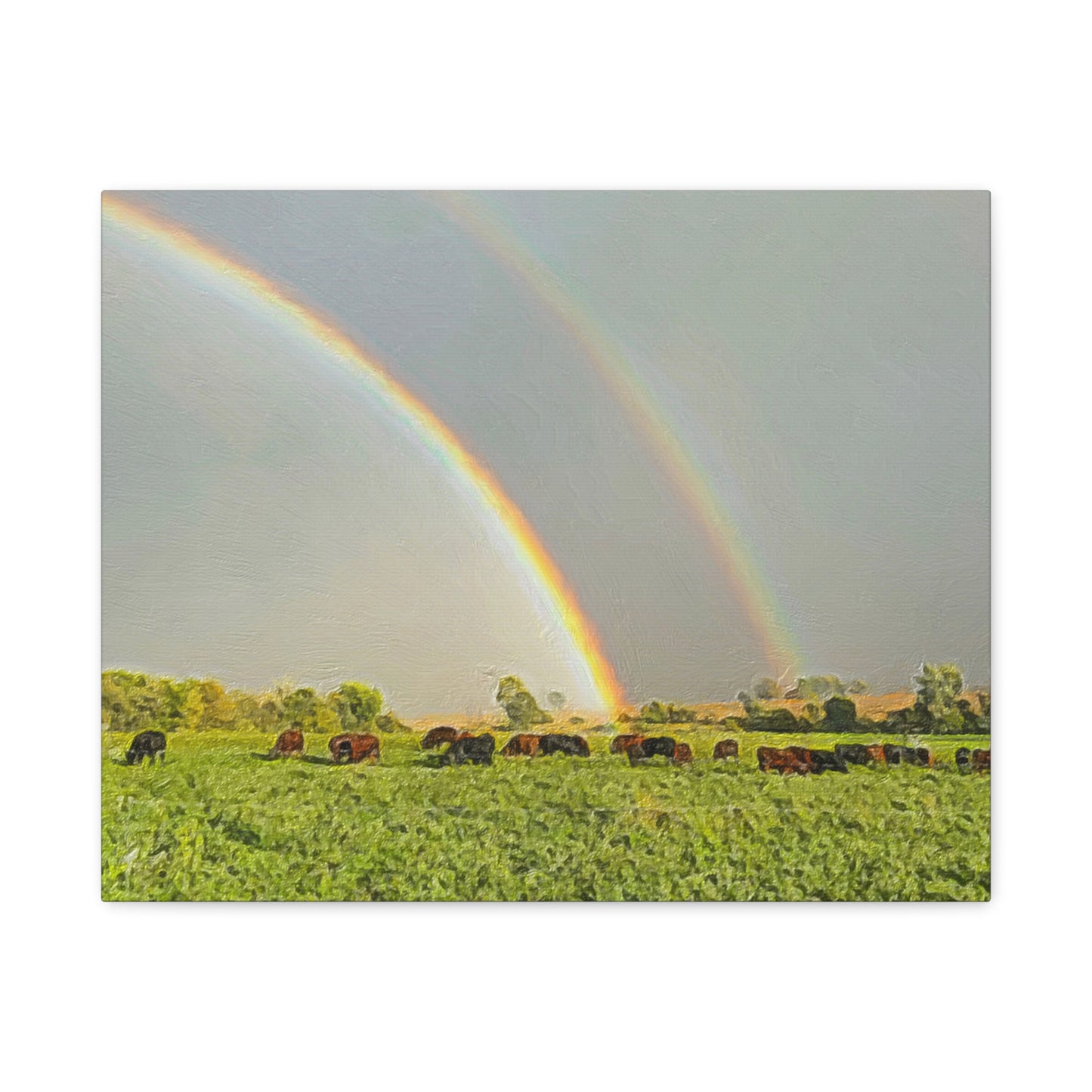 Down on the Farm Series