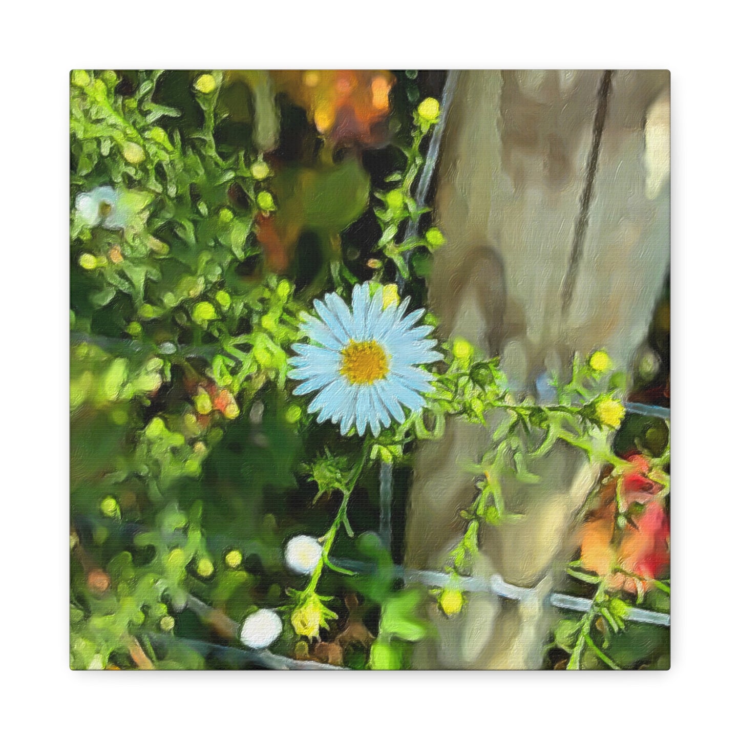 Blooms by the Back Porch Series