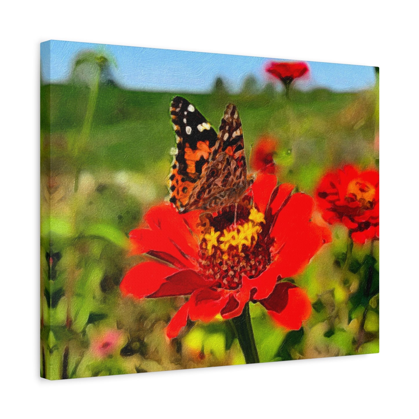 Blooms by the Back Porch Series