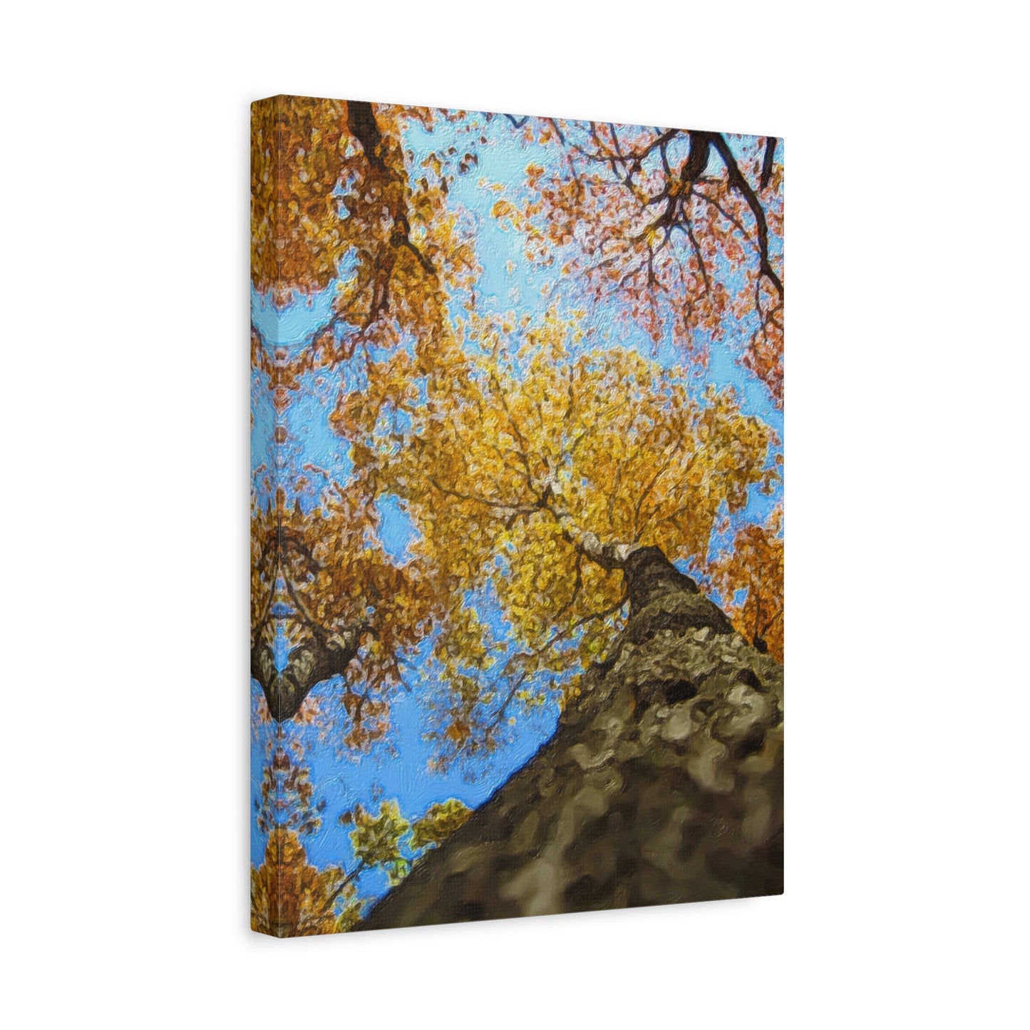 Autumn Series