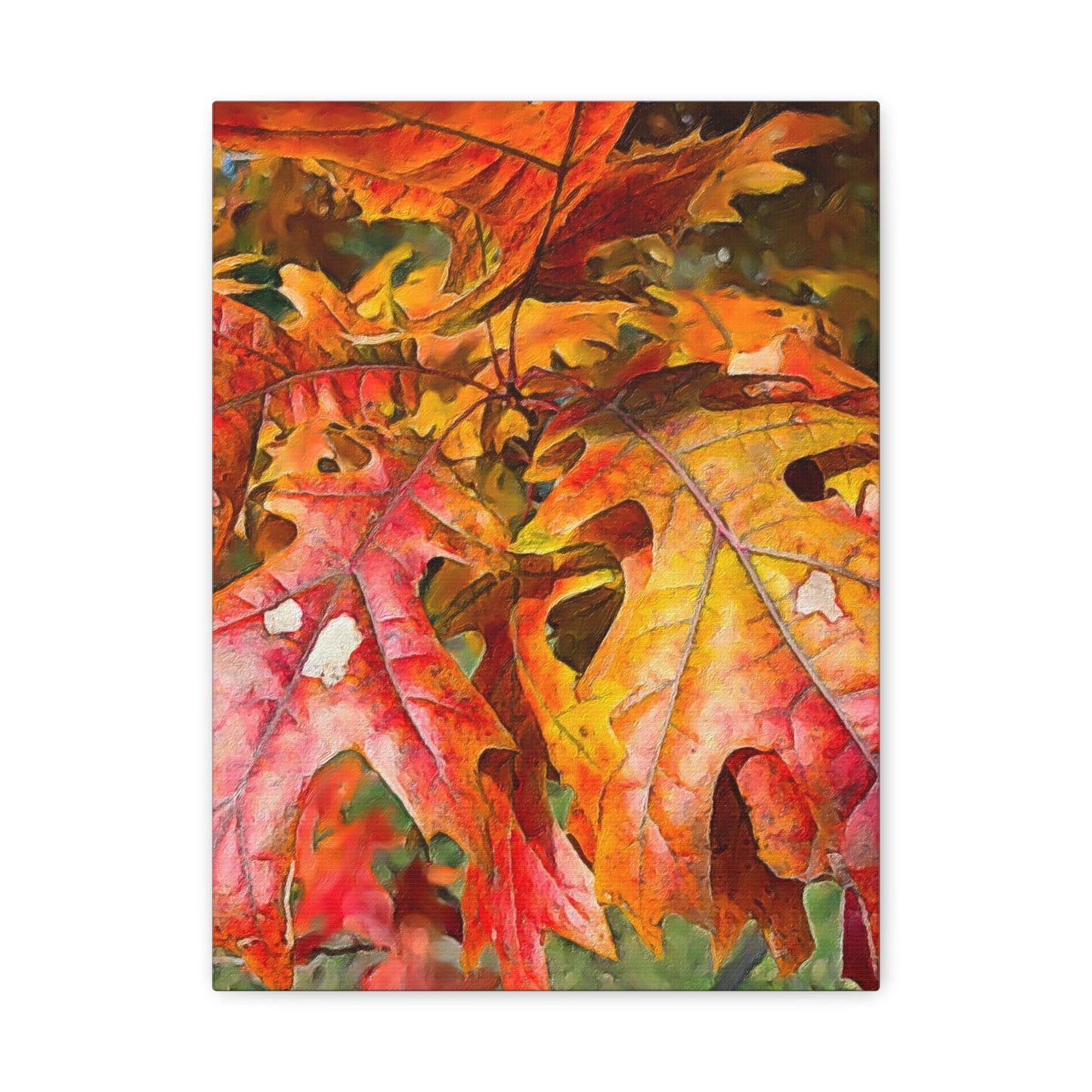 Autumn Series