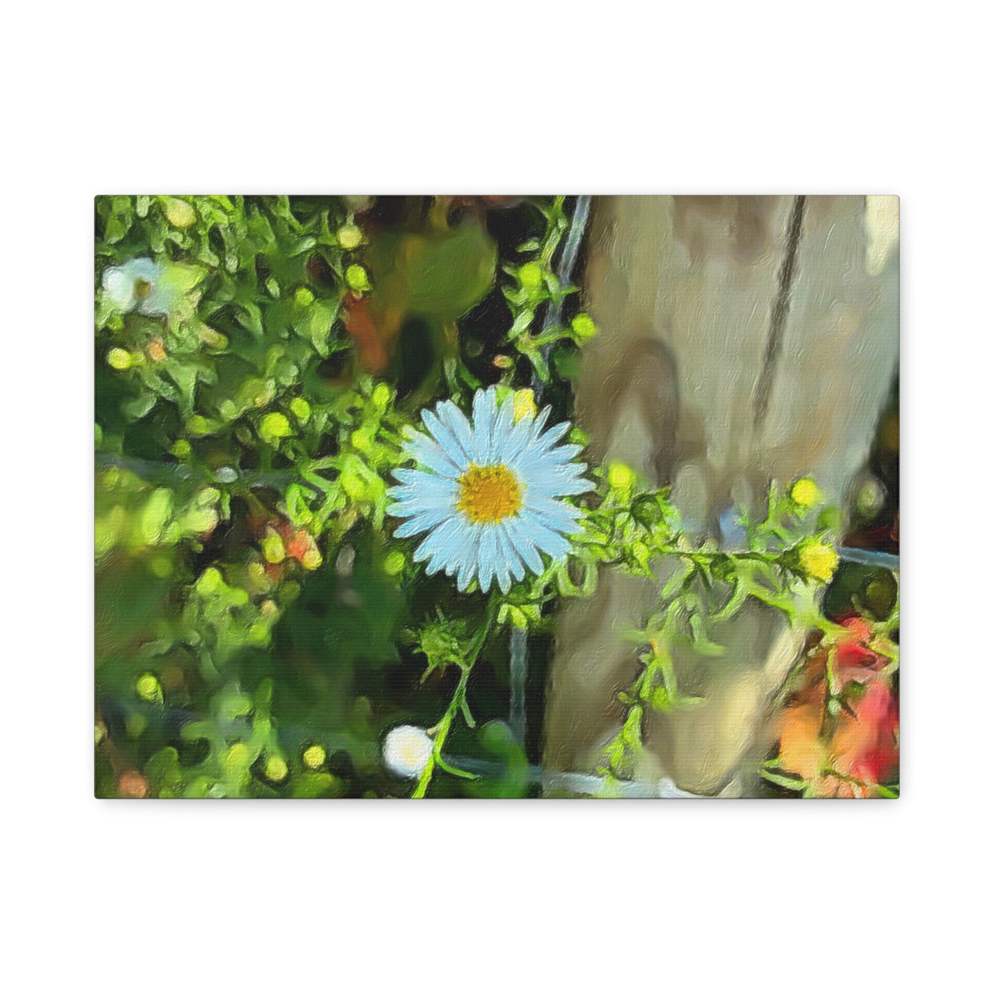 Blooms by the Back Porch Series