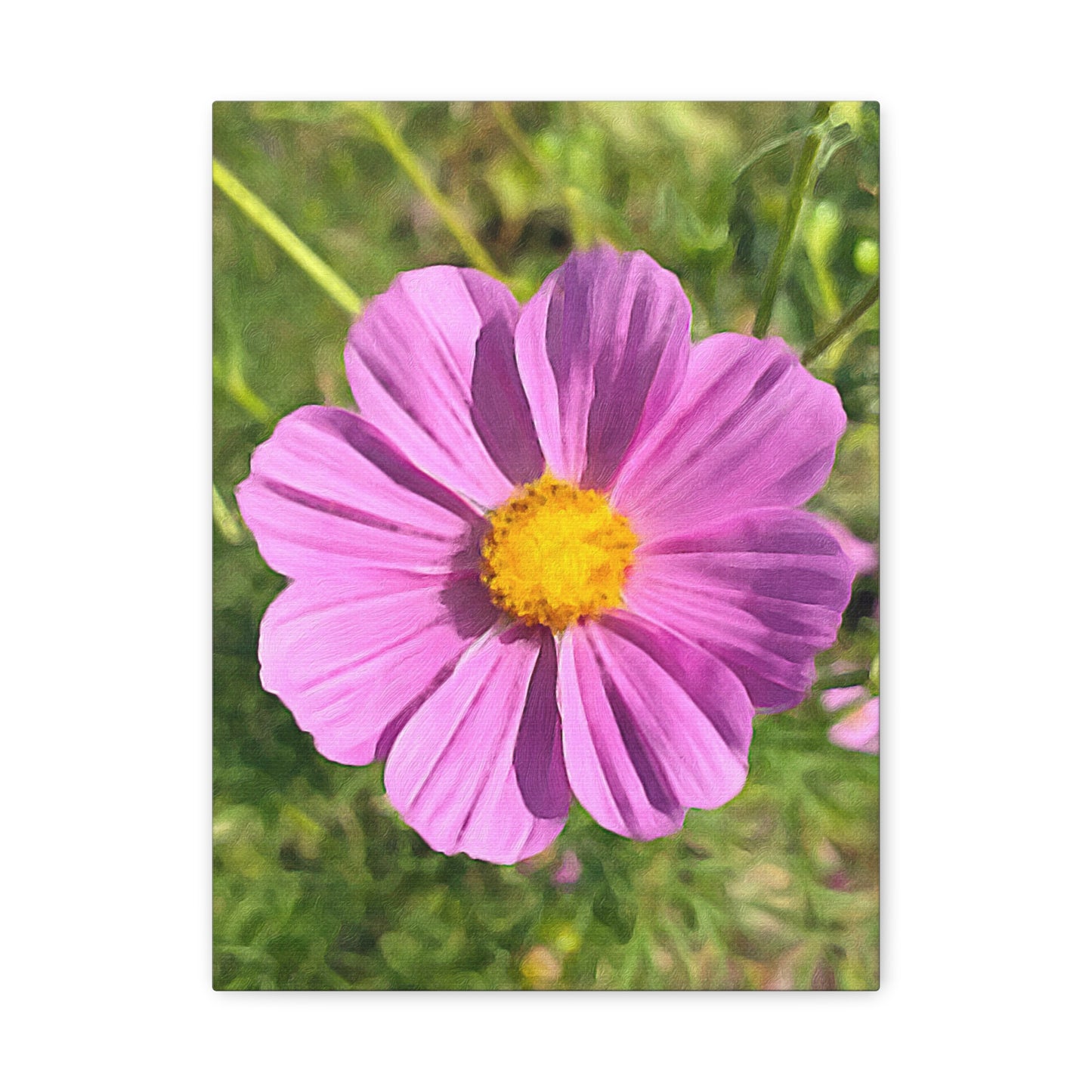 Blooms by the Back Porch Series