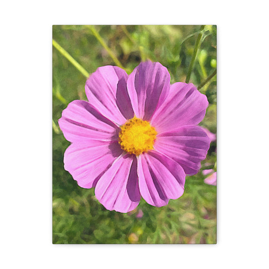 Blooms by the Back Porch Series