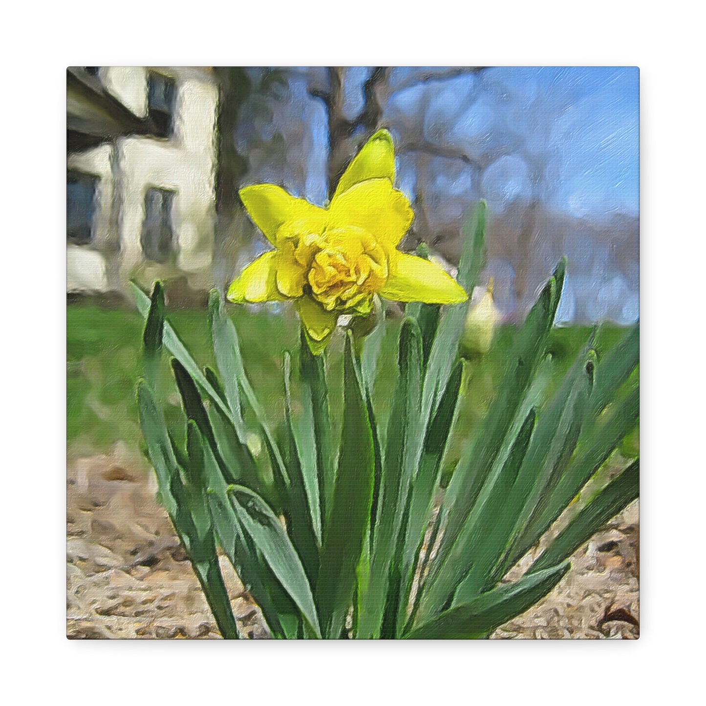 Blooms by the Back Porch Series