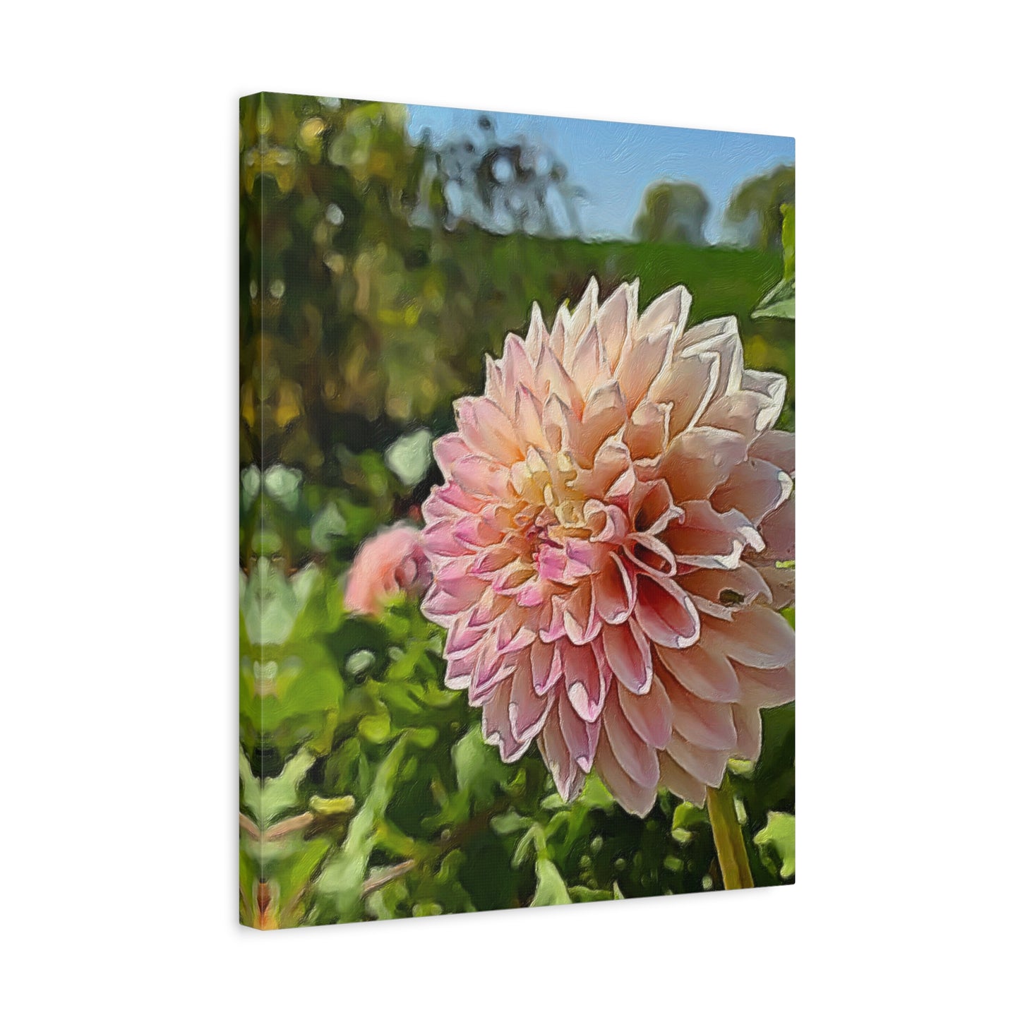 Blooms by the Back Porch Series