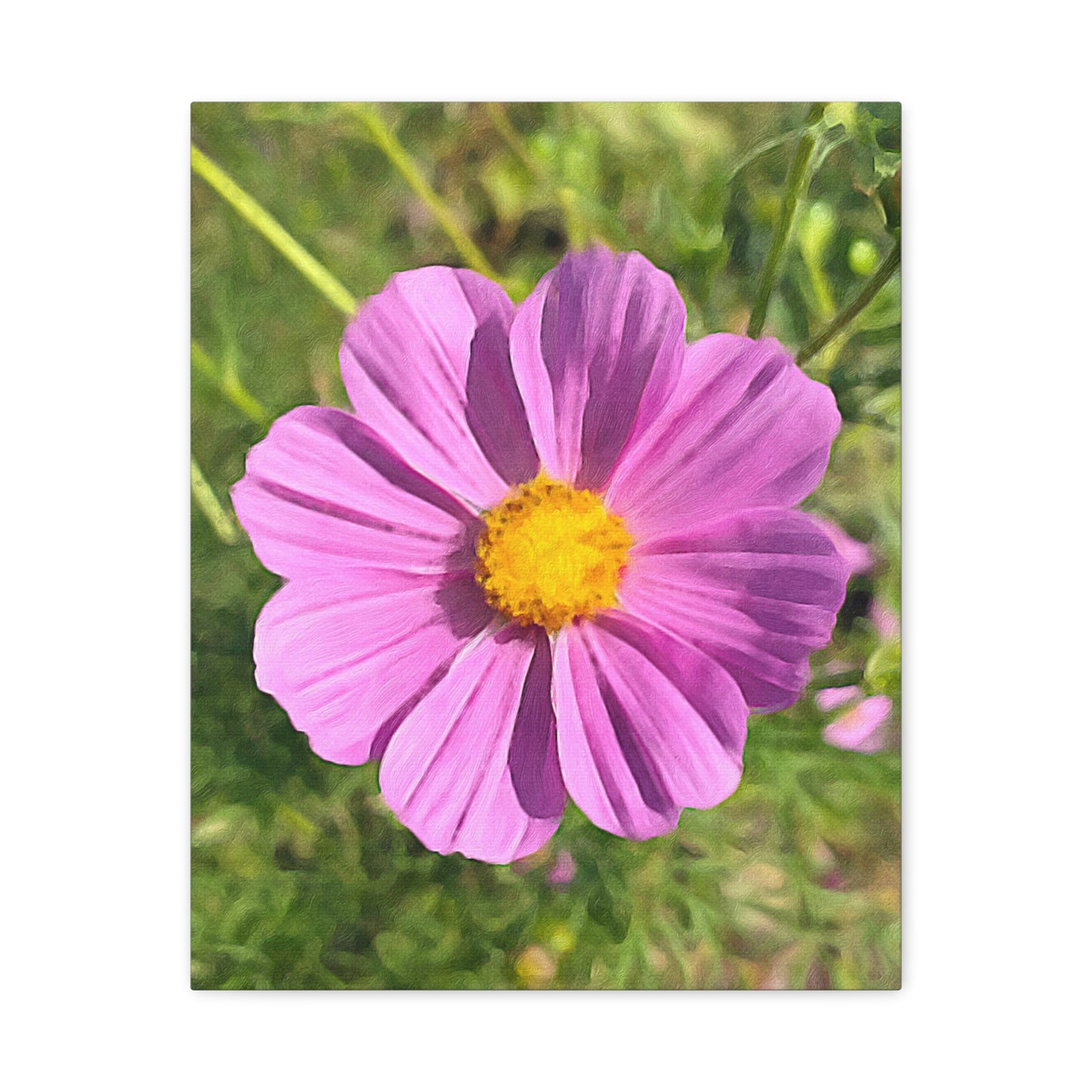 Blooms by the Back Porch Series