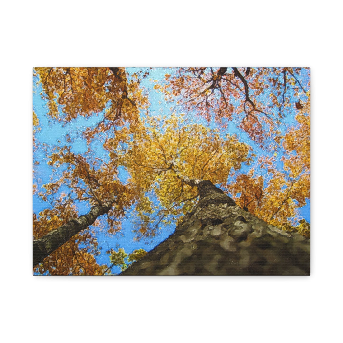 Autumn Series