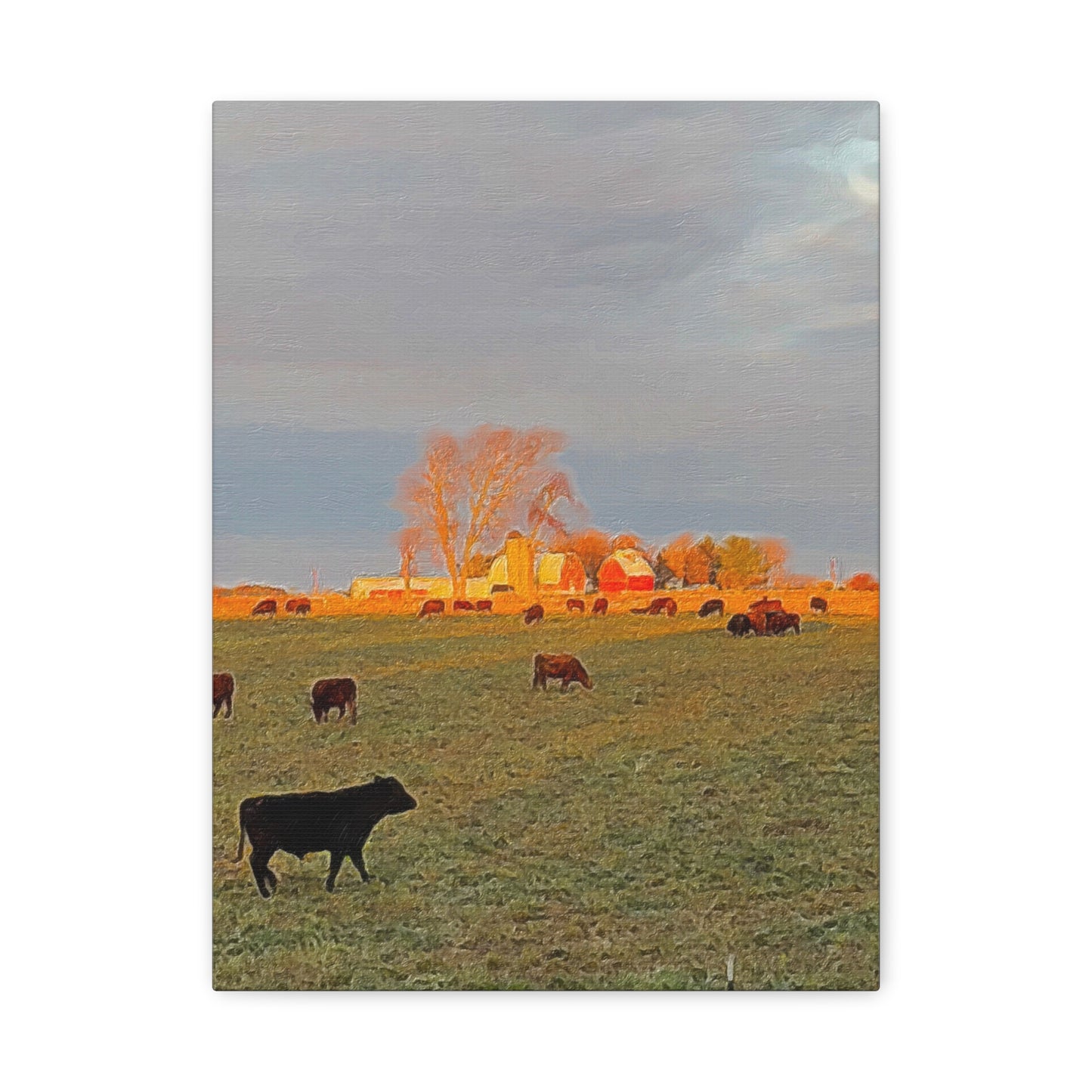 Autumn Series