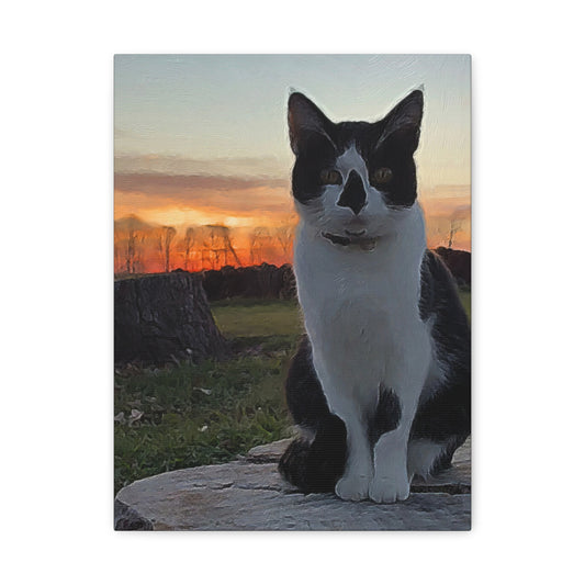 Down on the Farm Series