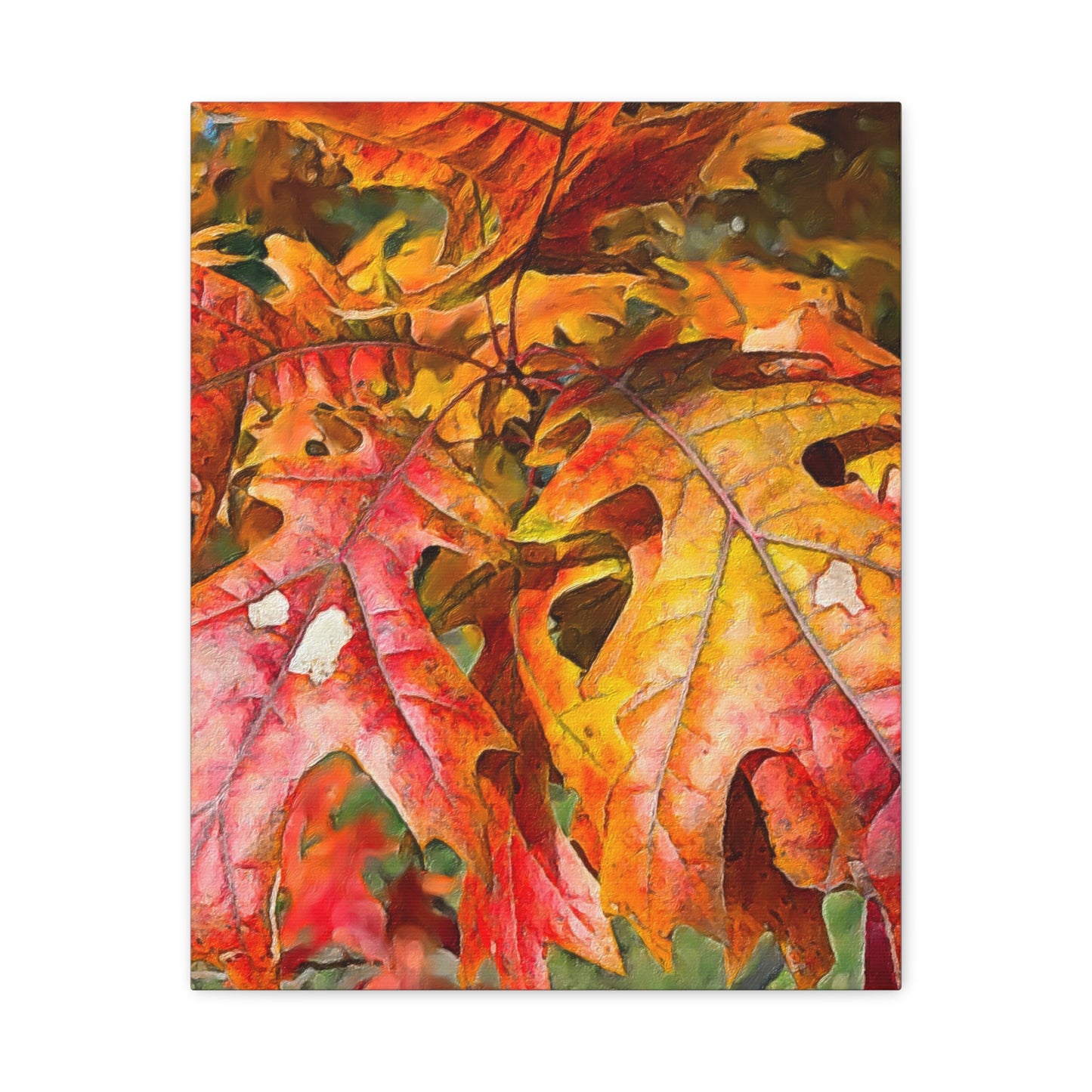 Autumn Series