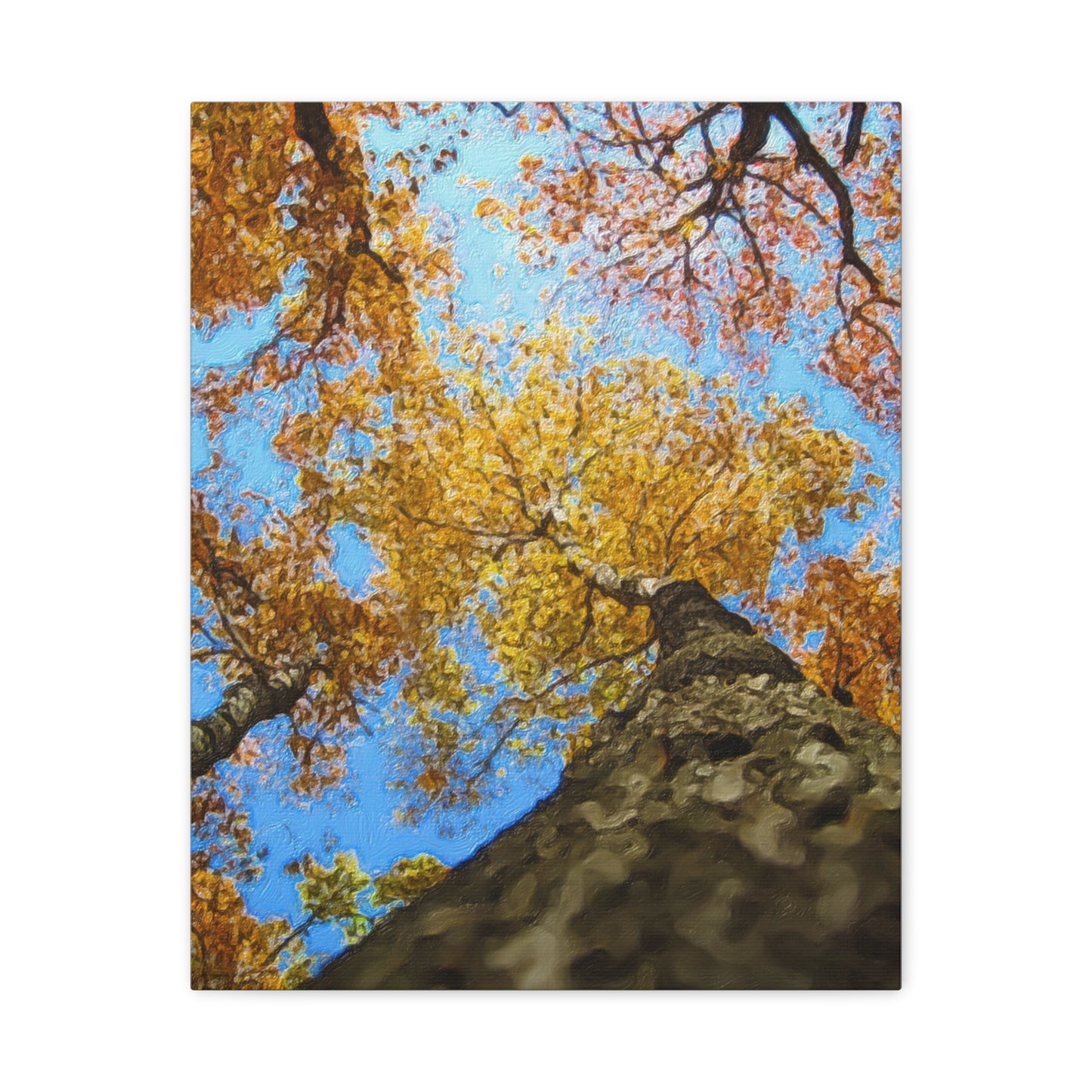 Autumn Series