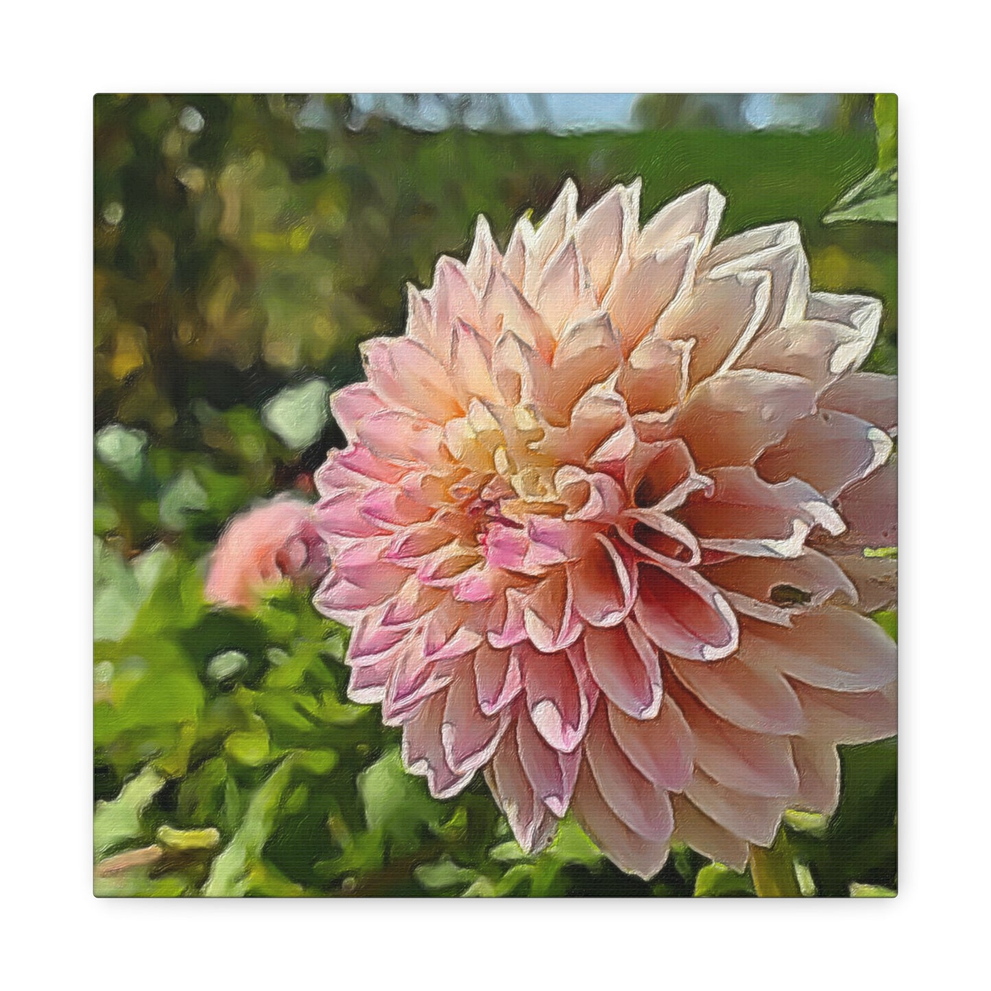 Blooms by the Back Porch Series