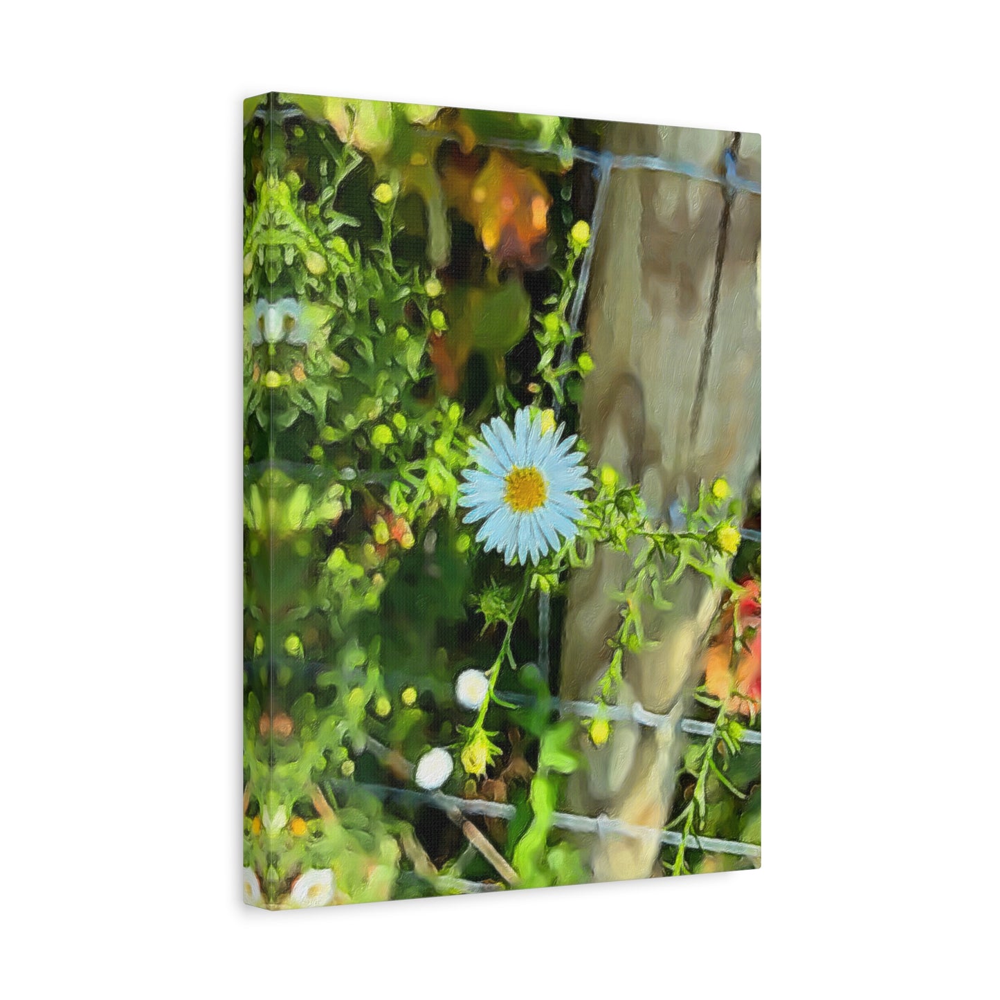 Blooms by the Back Porch Series