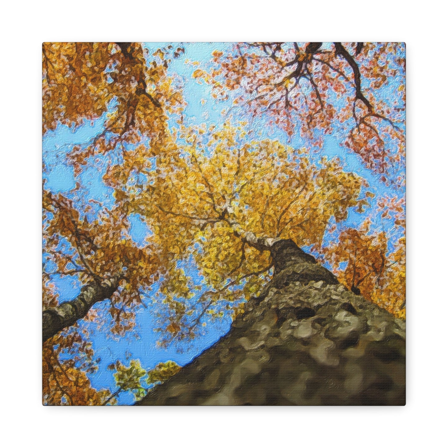 Autumn Series