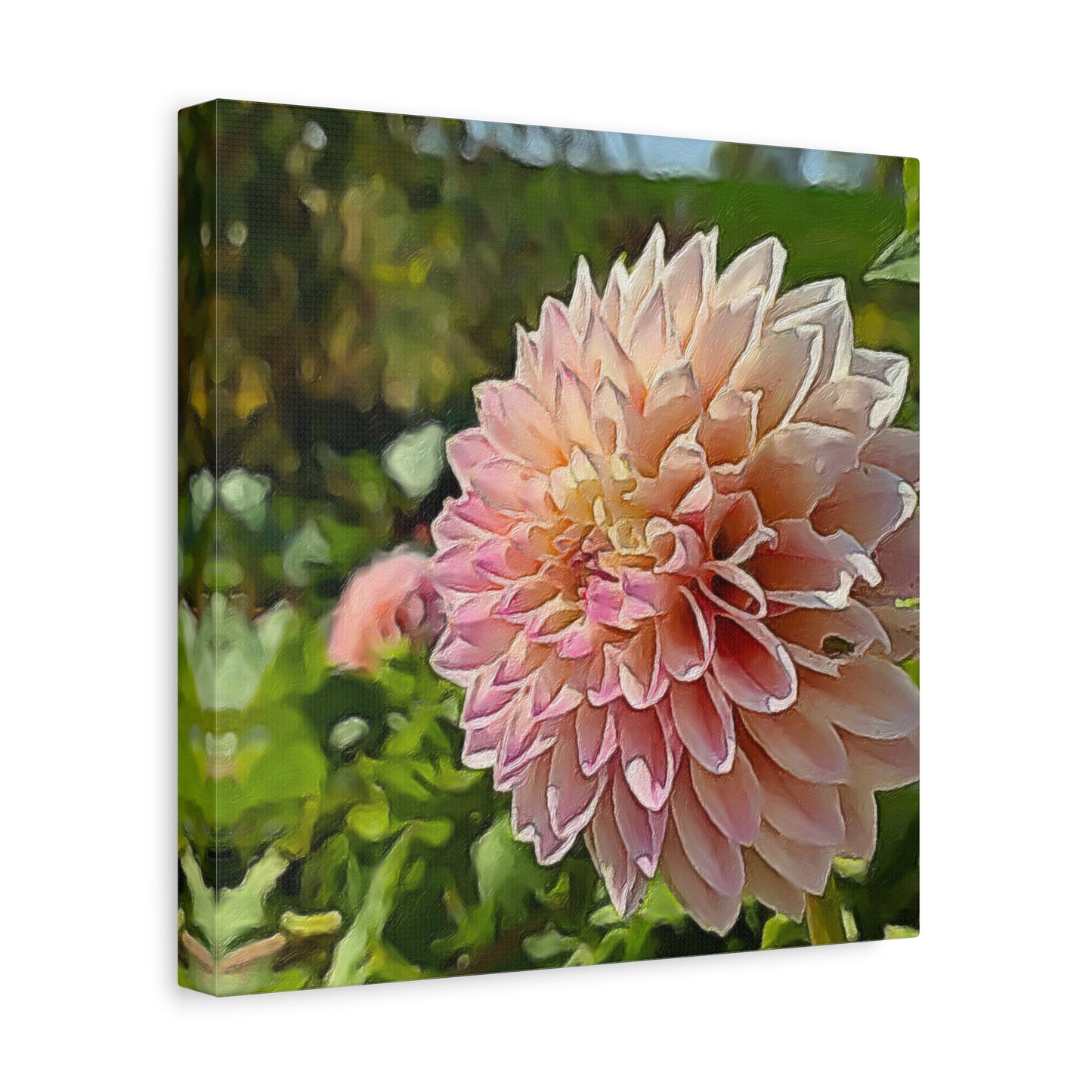 Blooms by the Back Porch Series