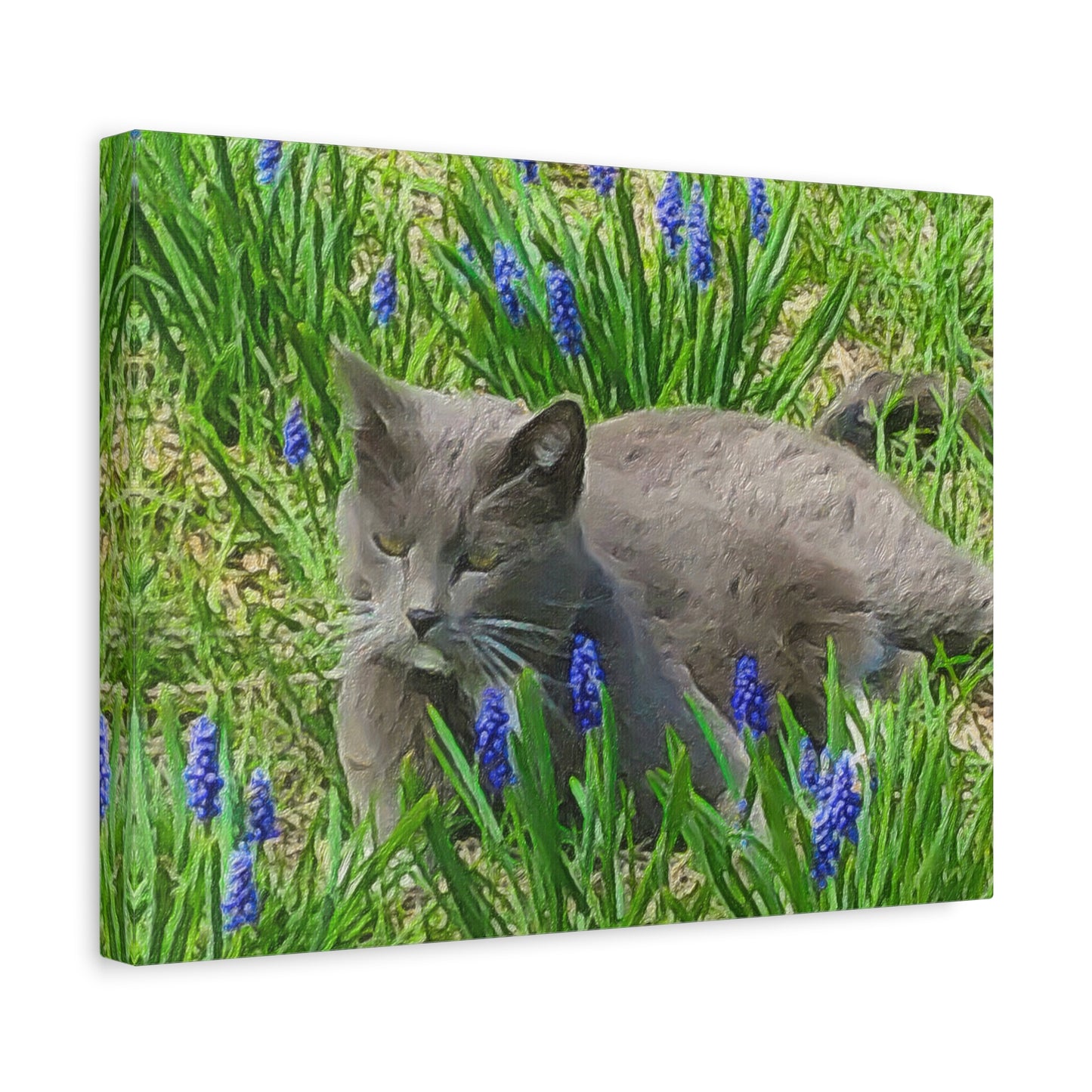 Down on the Farm Series