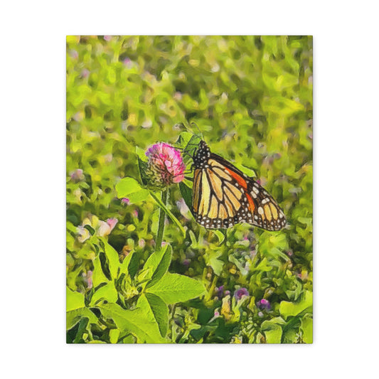 Down on the Farm Series