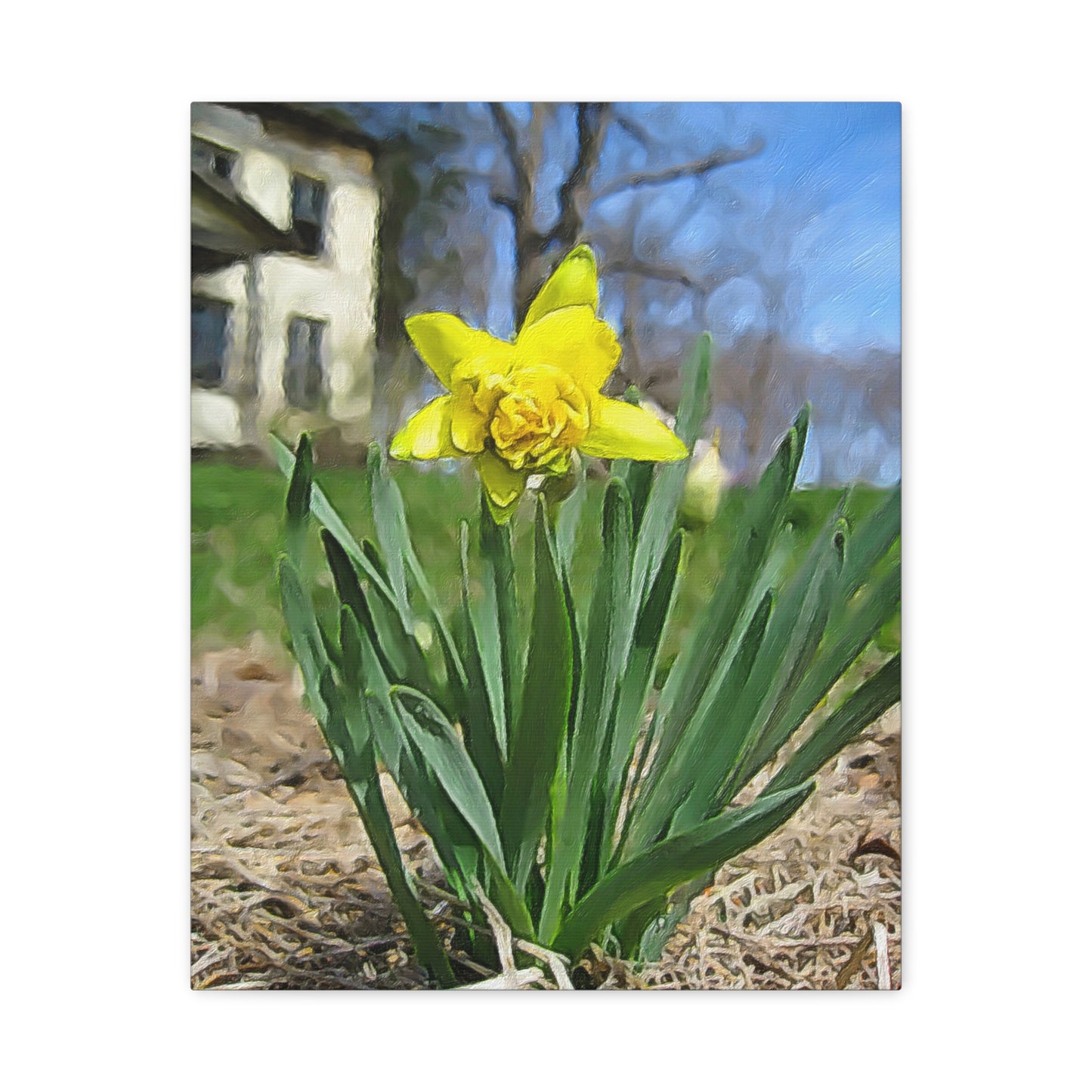 Blooms by the Back Porch Series