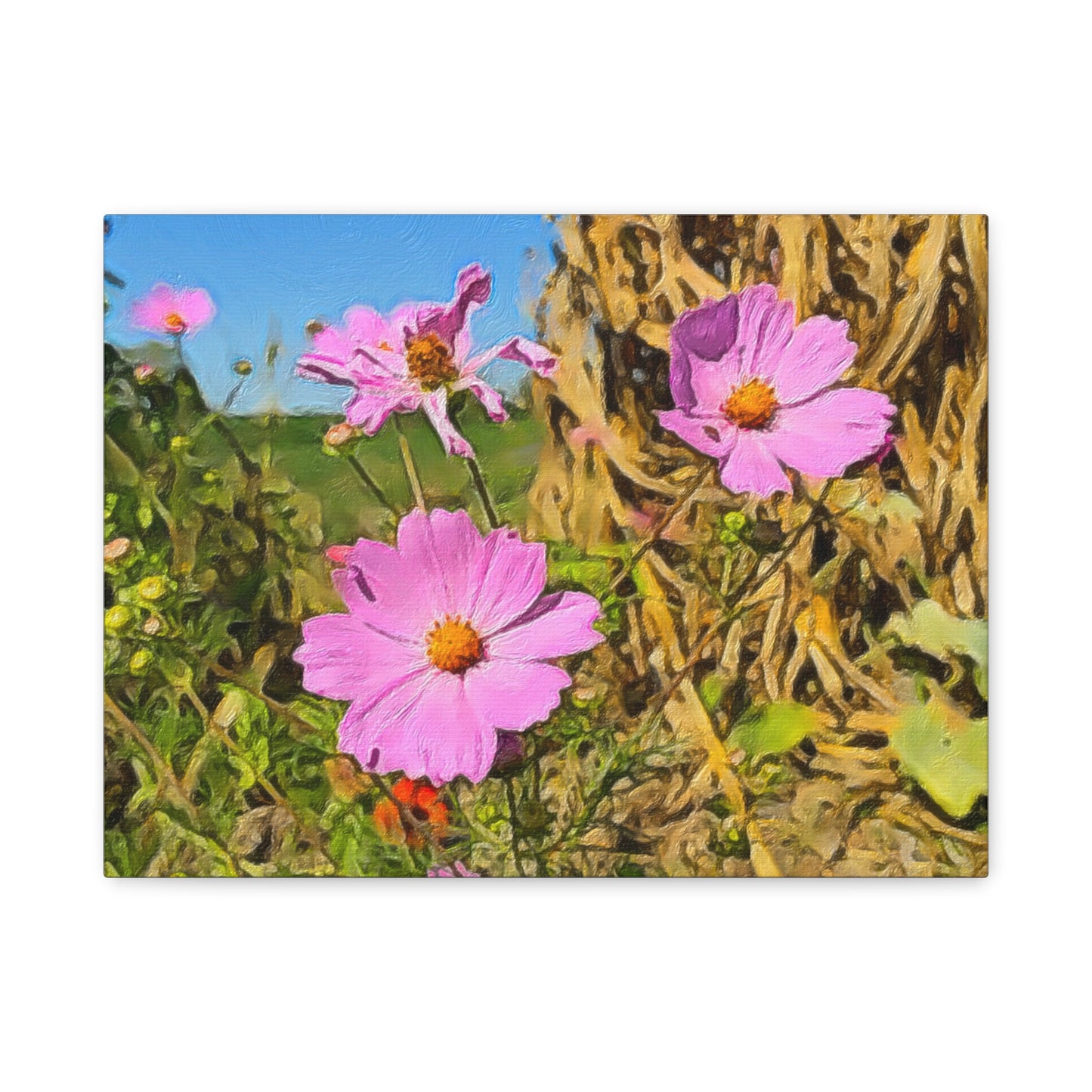 Blooms by the Back Porch Series