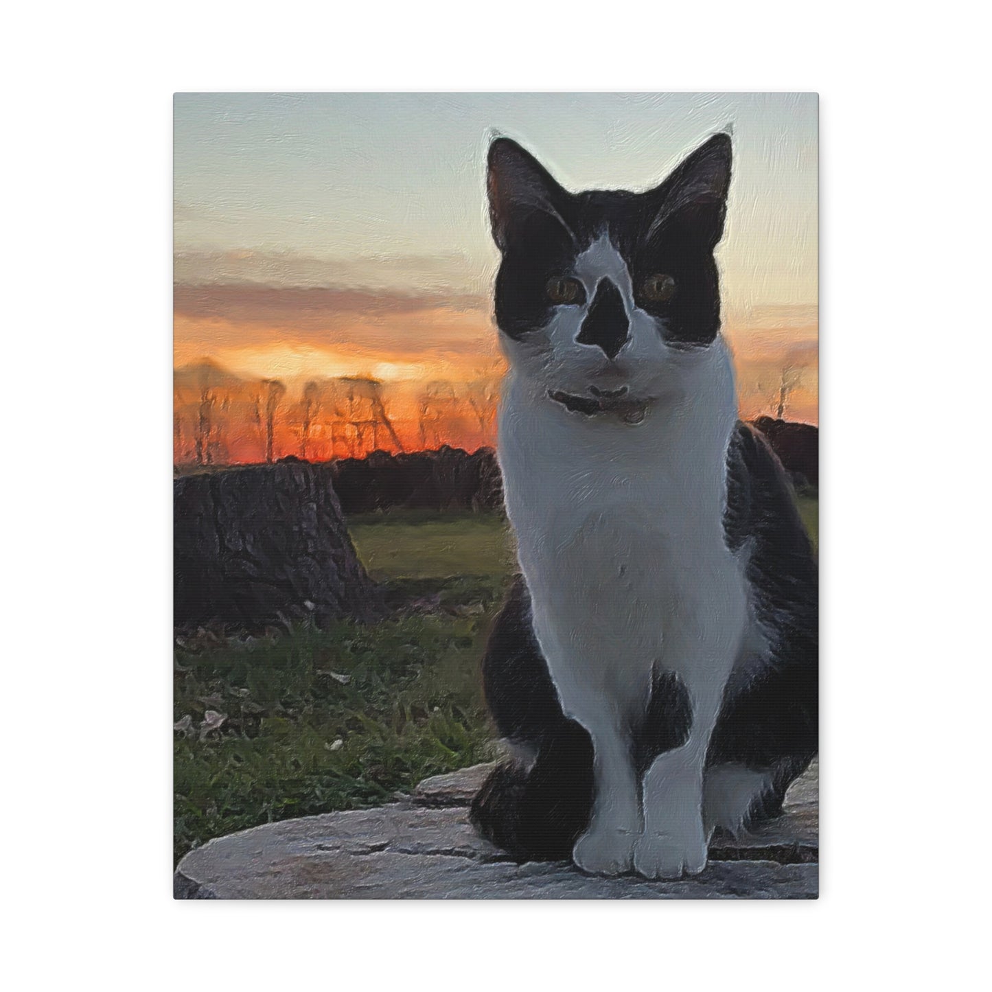 Down on the Farm Series