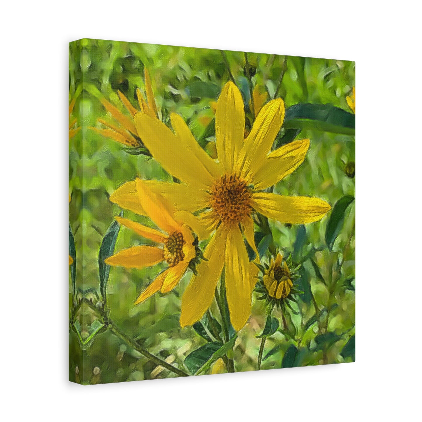 Blooms by the Back Porch Series