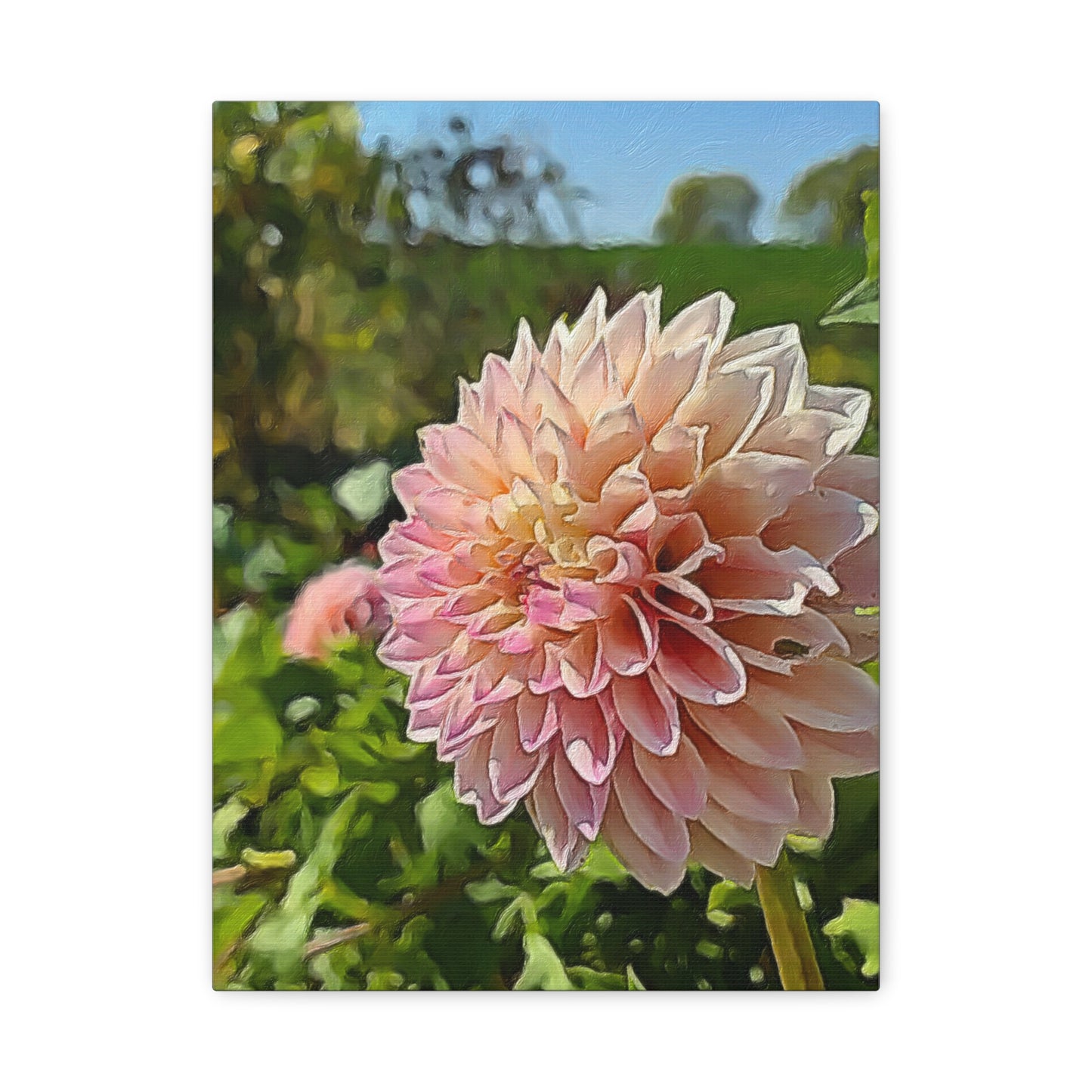 Blooms by the Back Porch Series