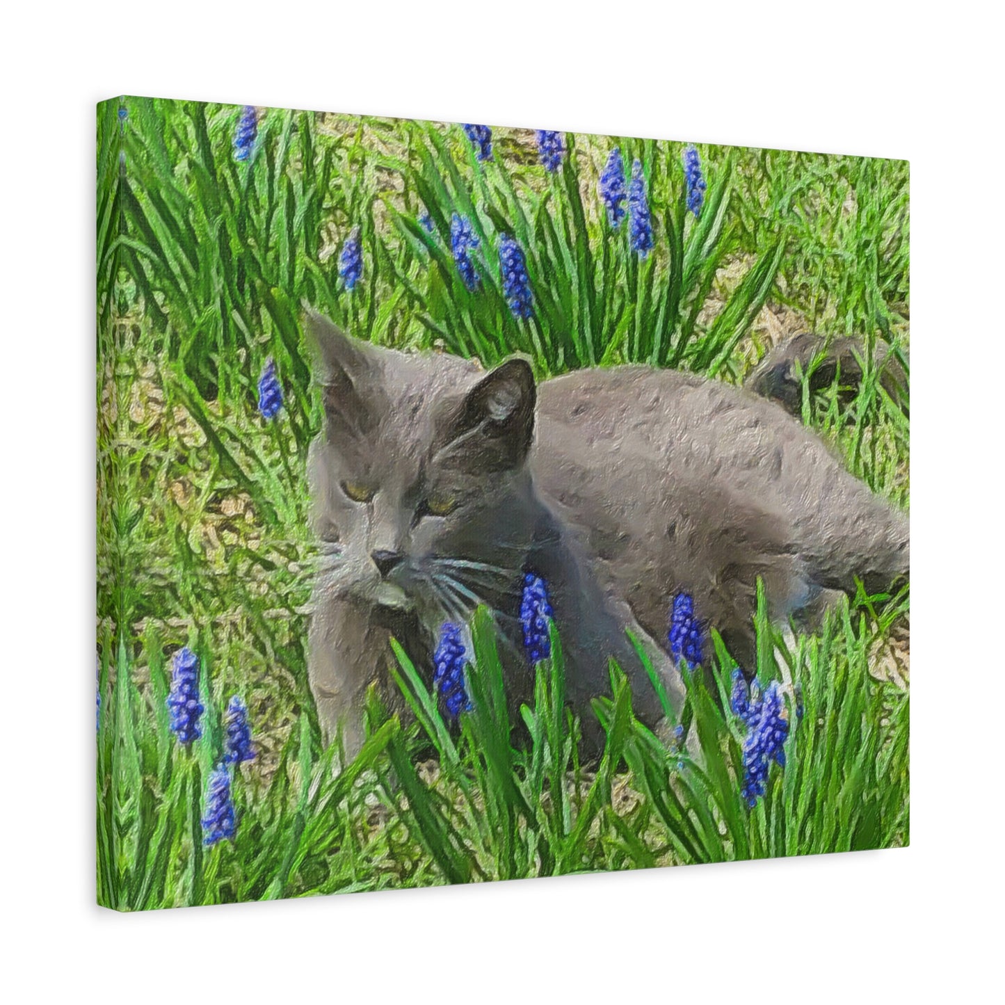 Down on the Farm Series