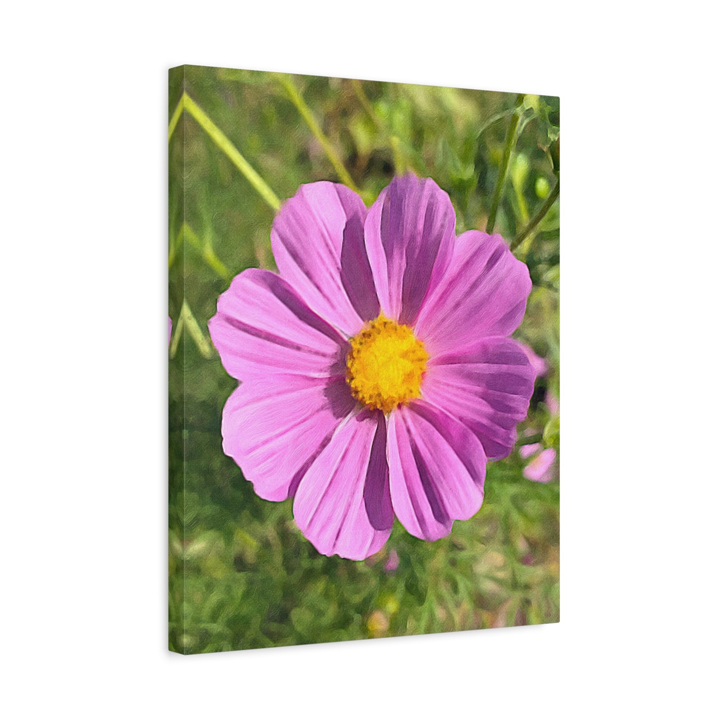 Blooms by the Back Porch Series