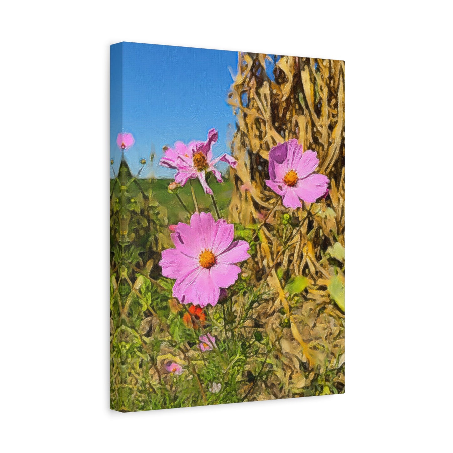 Blooms by the Back Porch Series