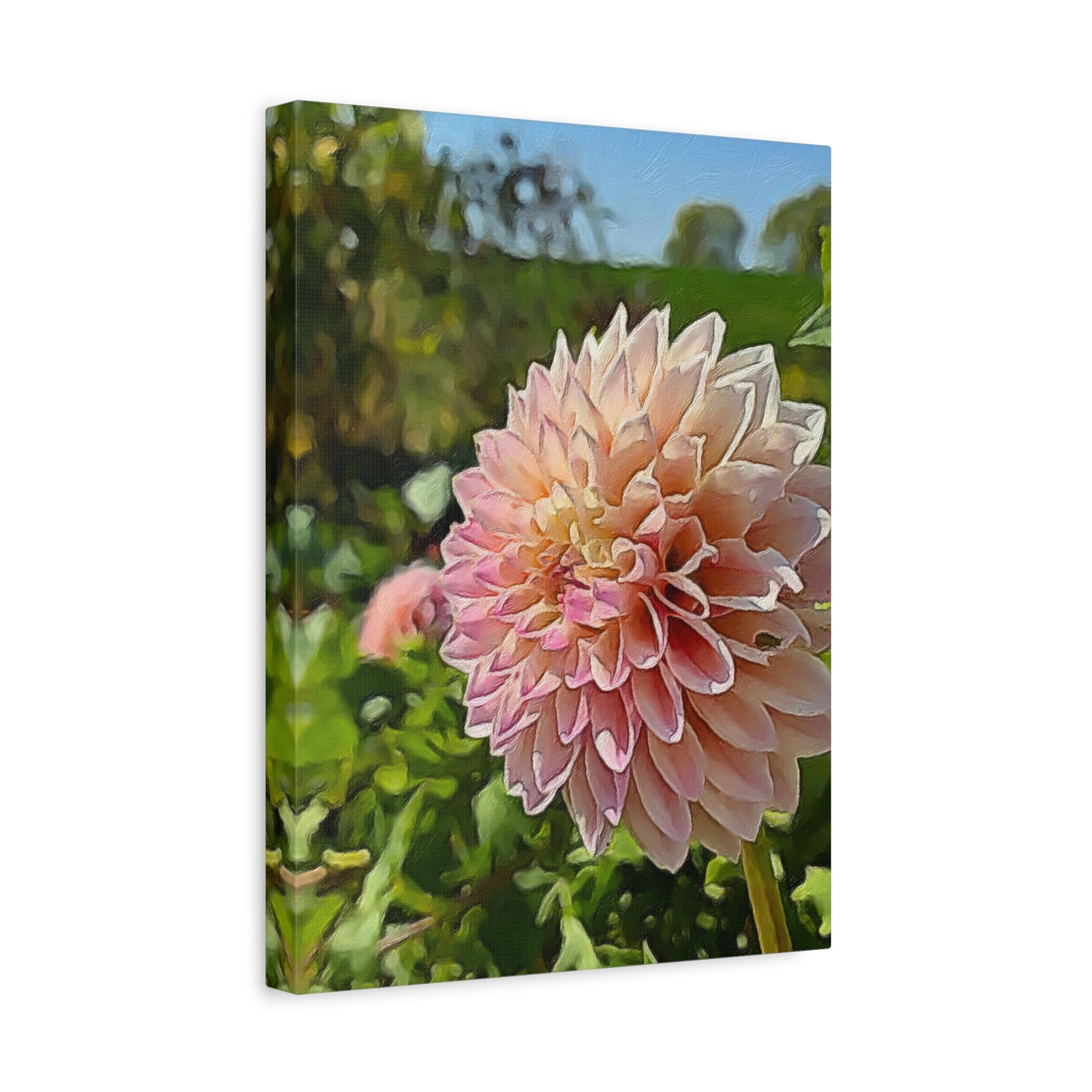 Blooms by the Back Porch Series