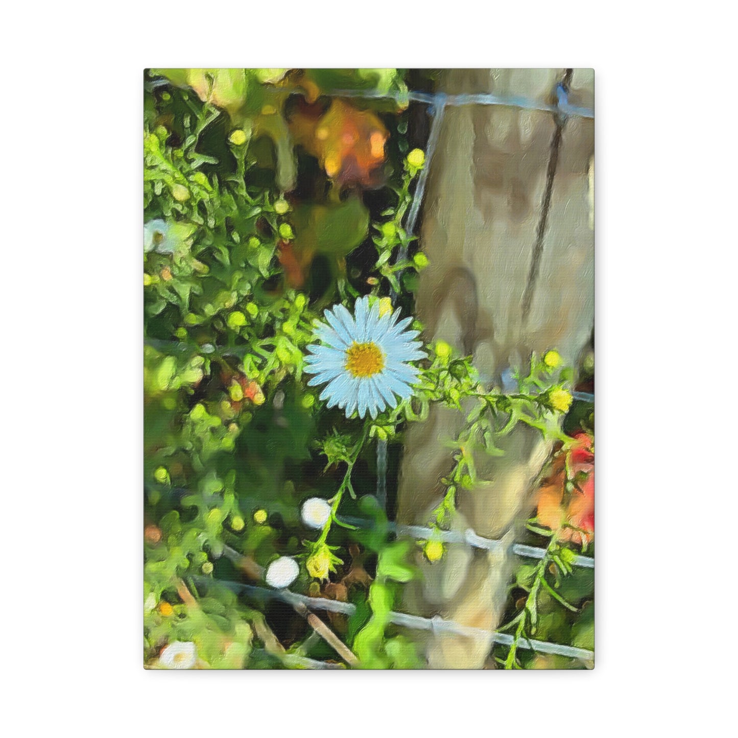 Blooms by the Back Porch Series