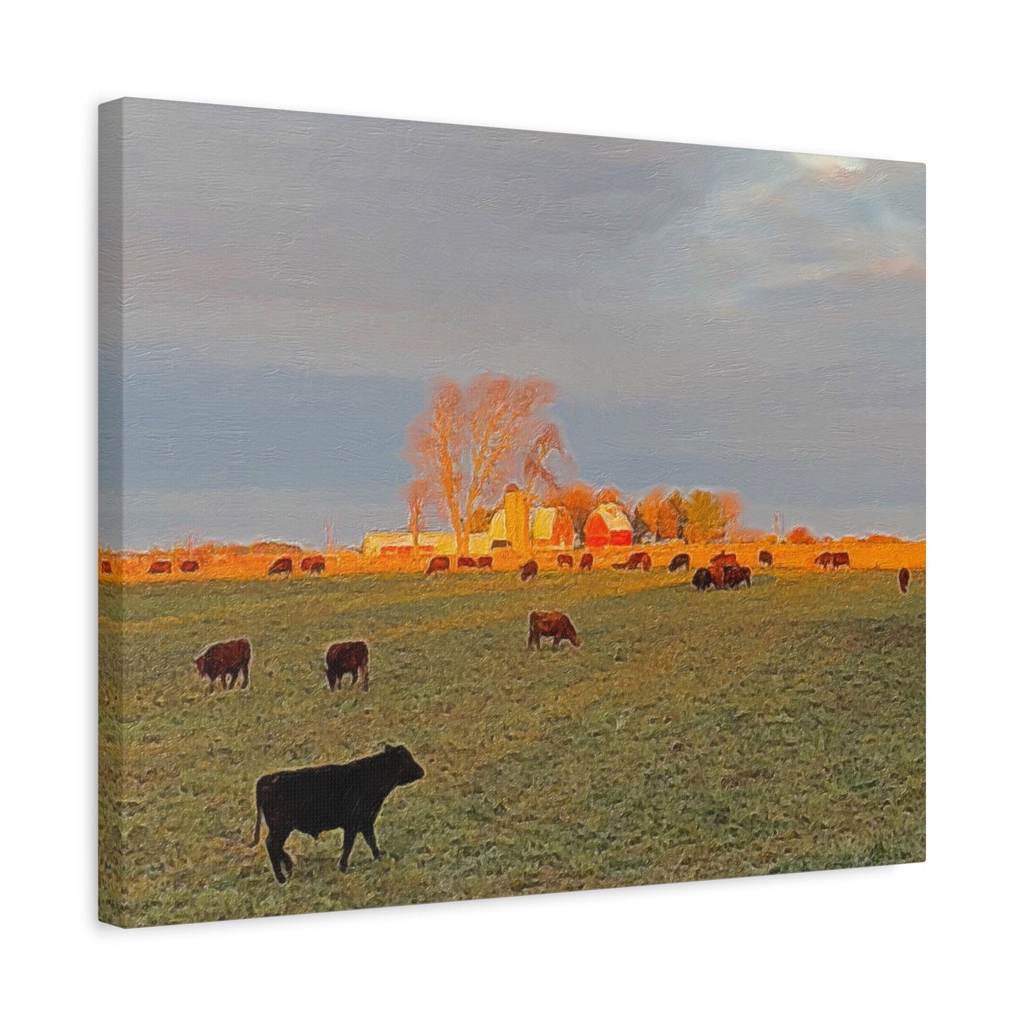 Autumn Series