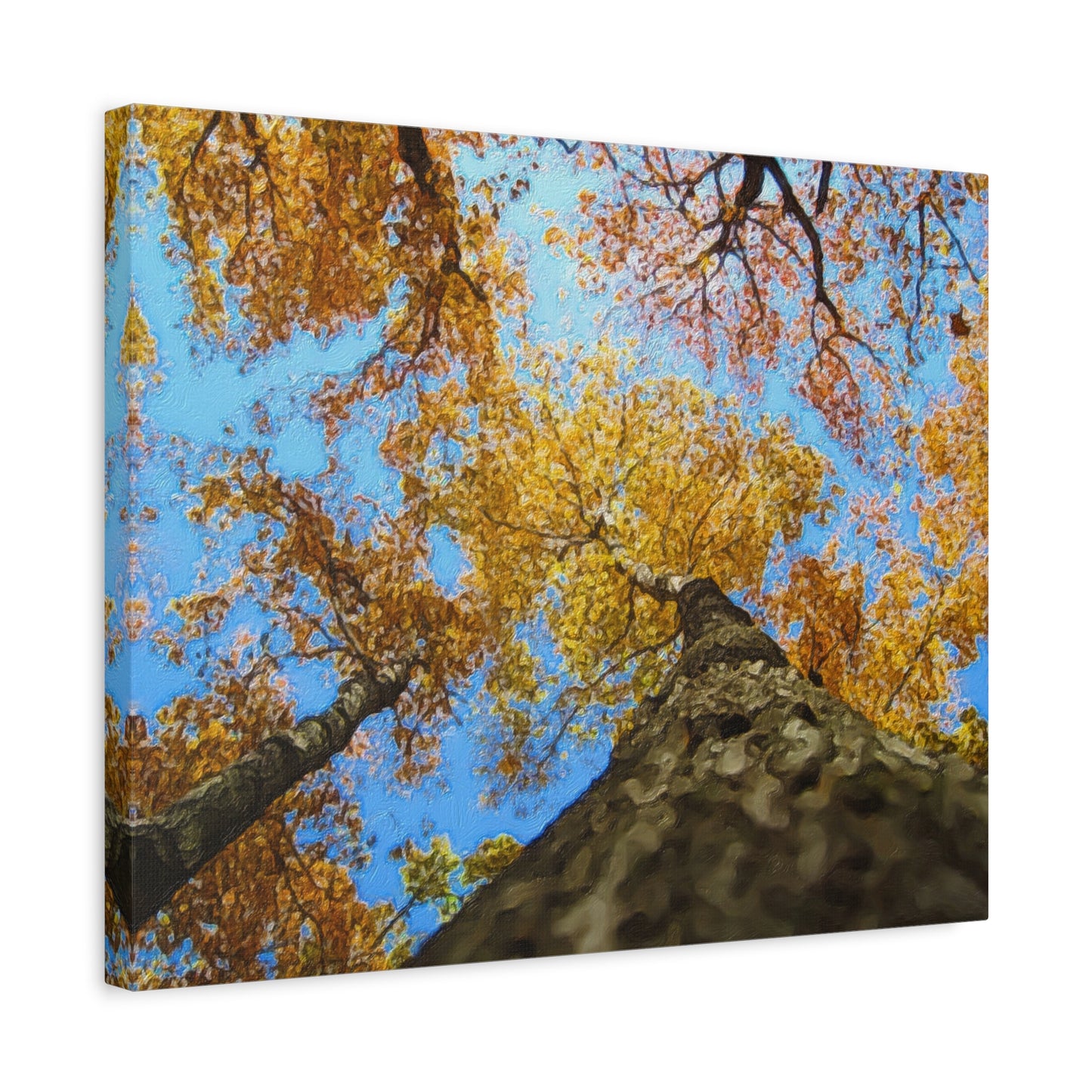 Autumn Series