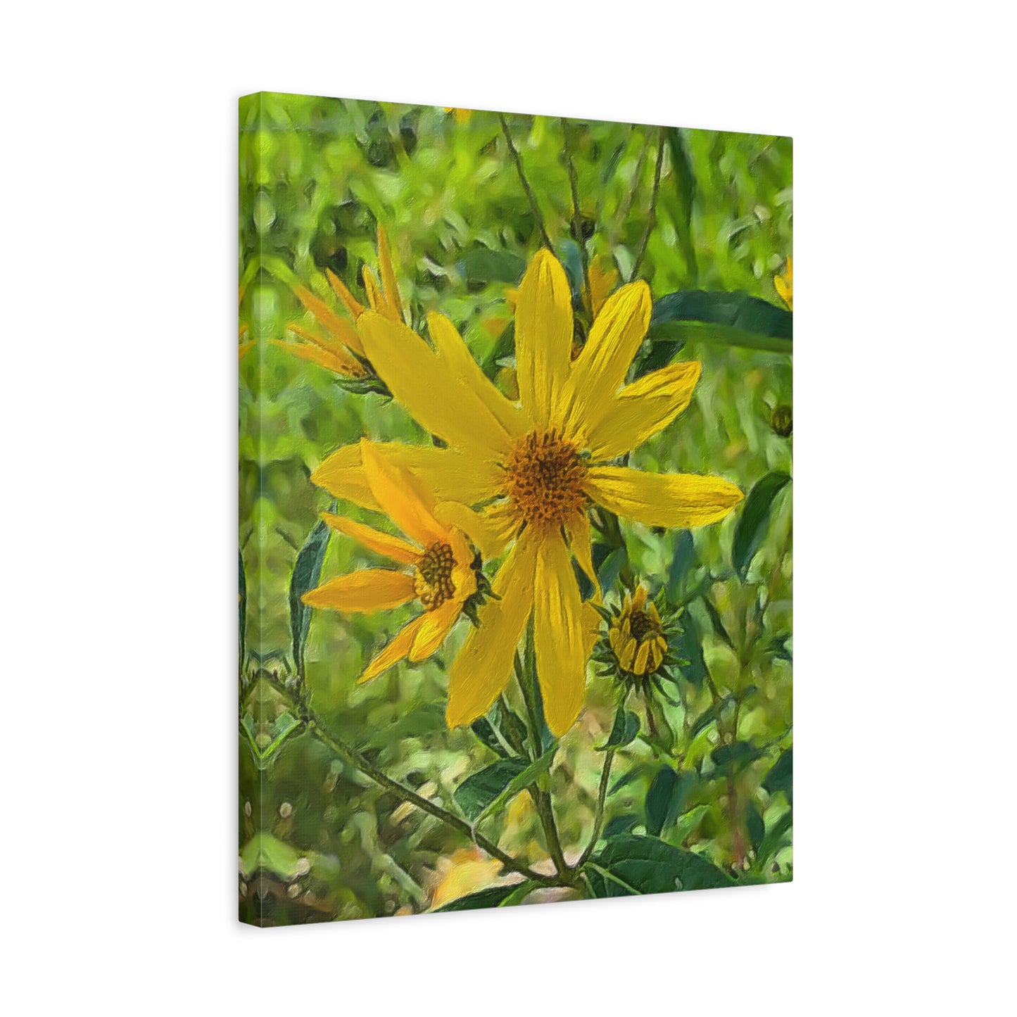 Blooms by the Back Porch Series