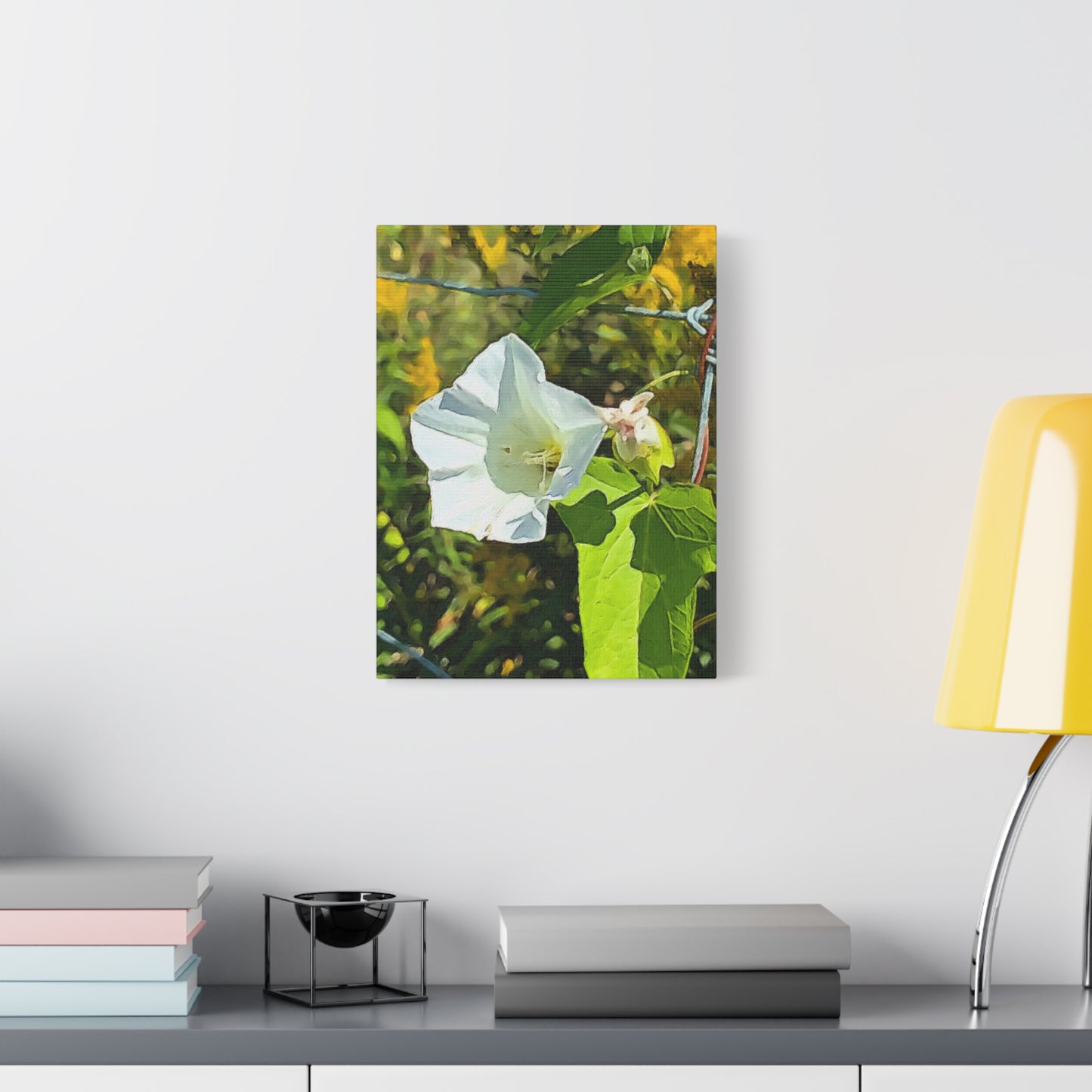 Blooms by the Back Porch Series