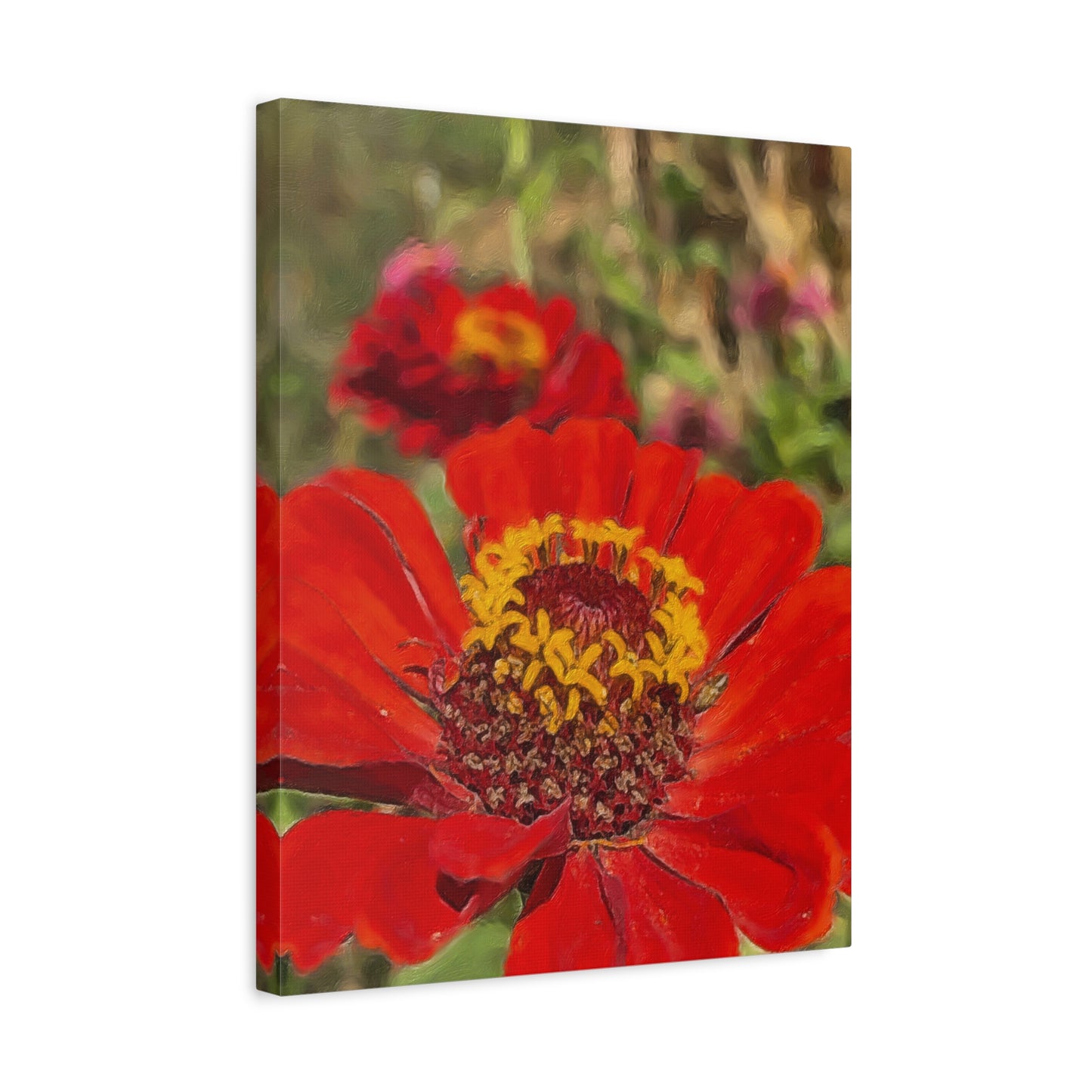 Blooms By the Back Porch Series