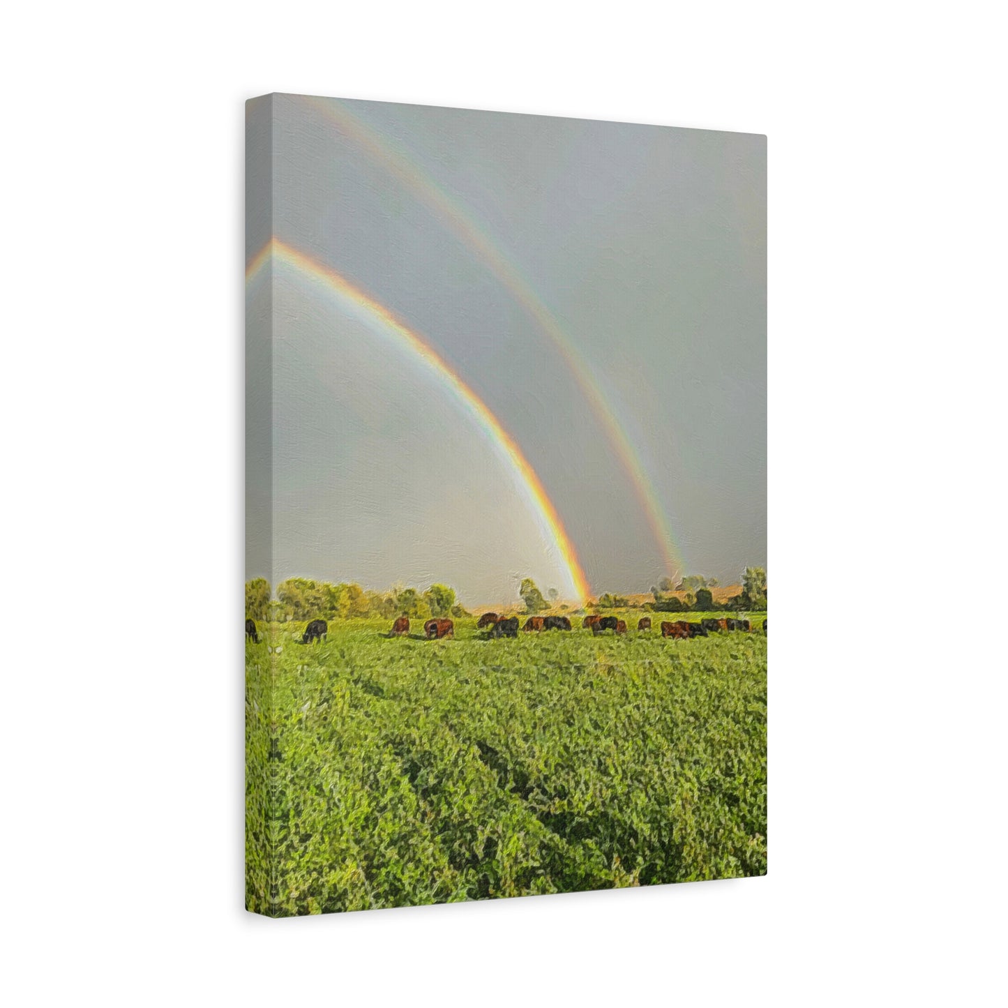 Down on the Farm Series