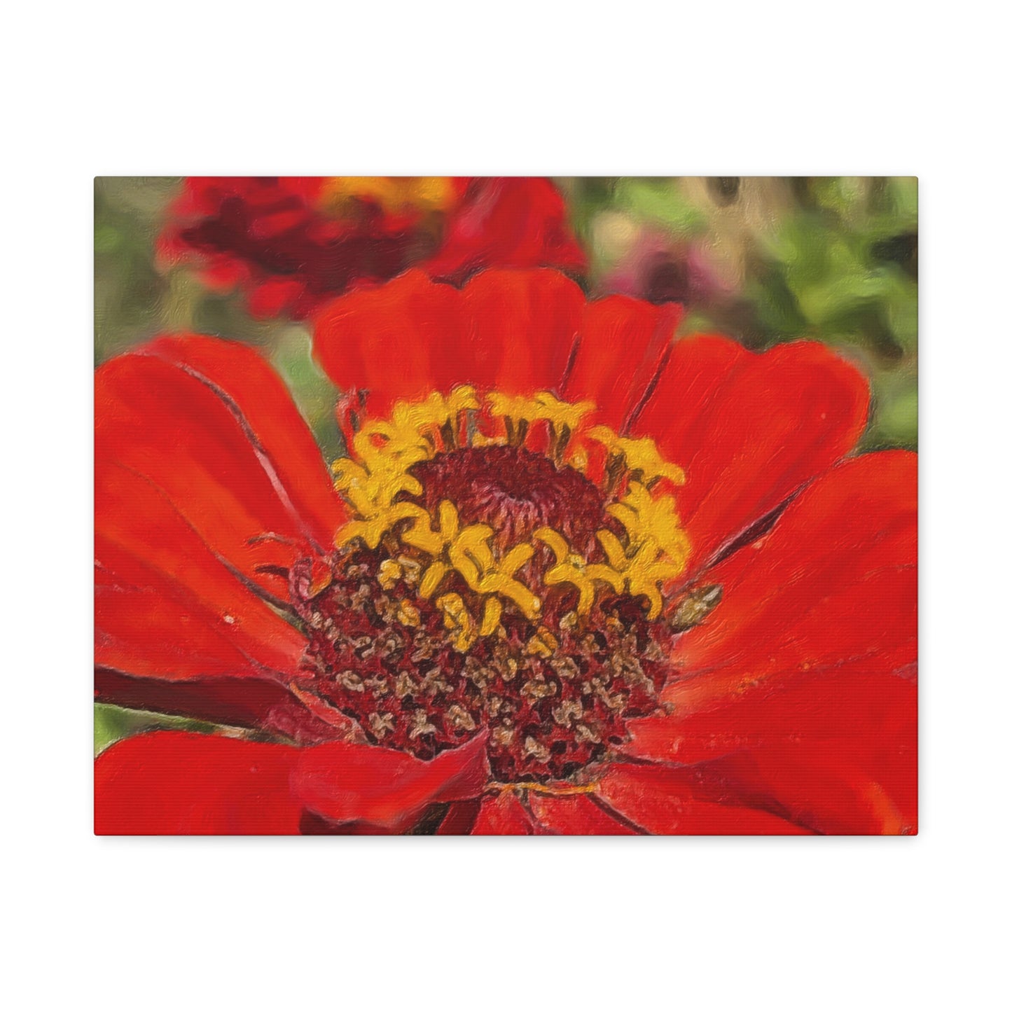 Blooms By the Back Porch Series