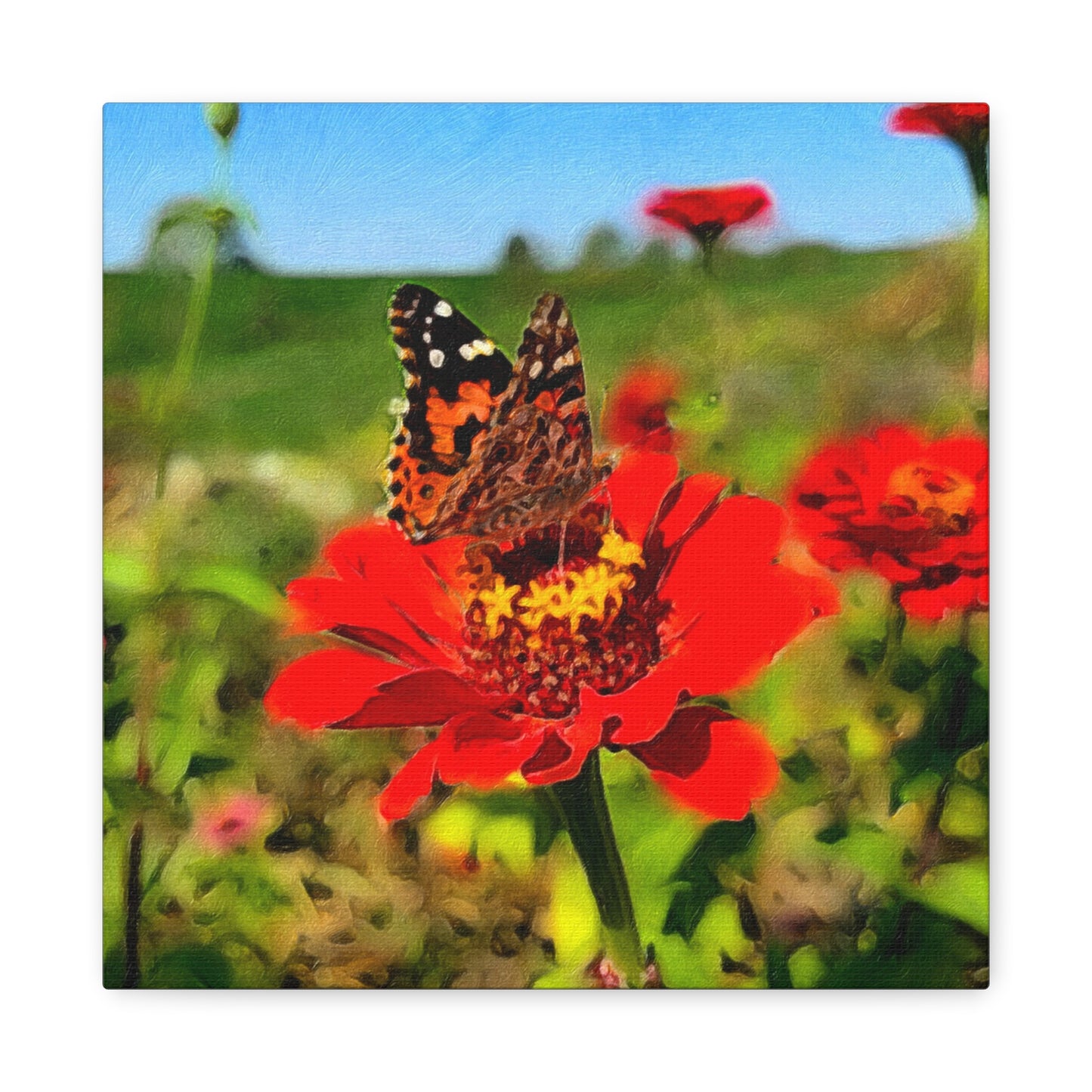 Blooms by the Back Porch Series