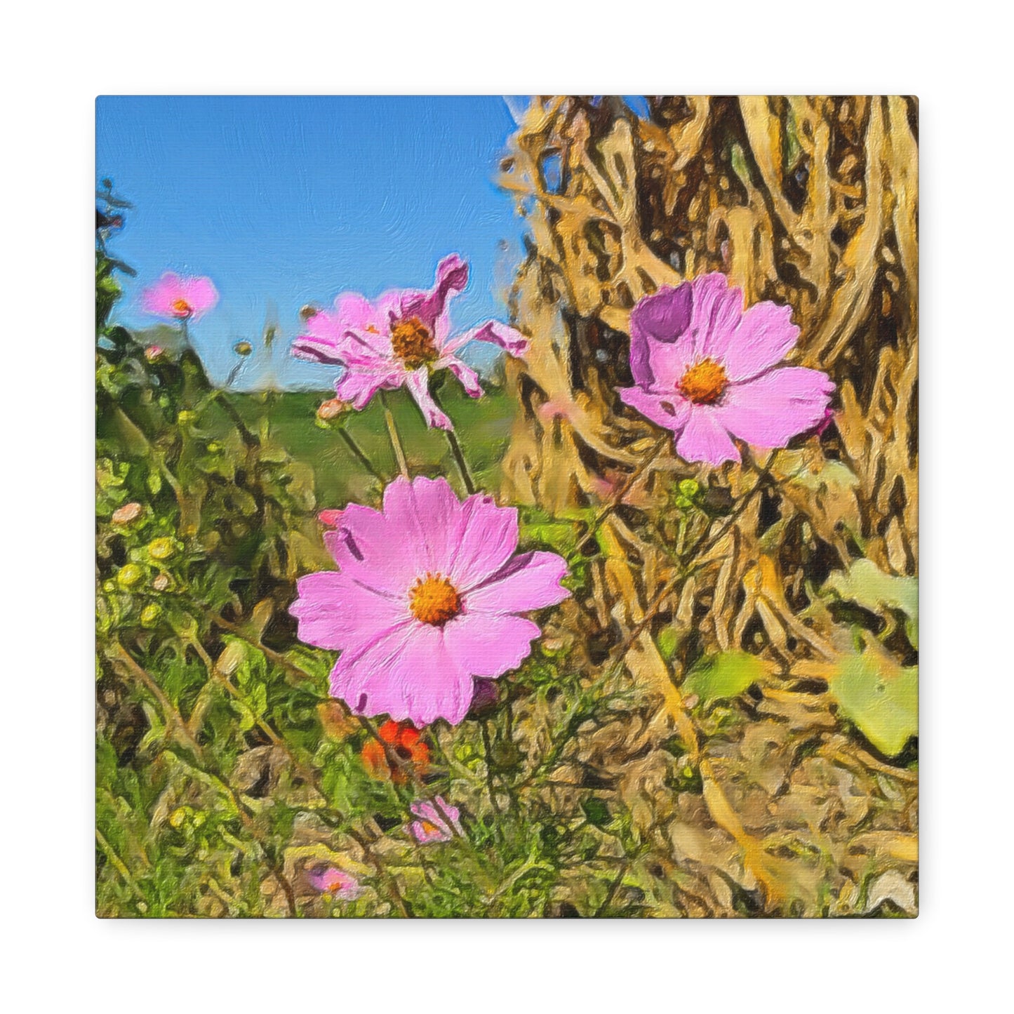 Blooms by the Back Porch Series
