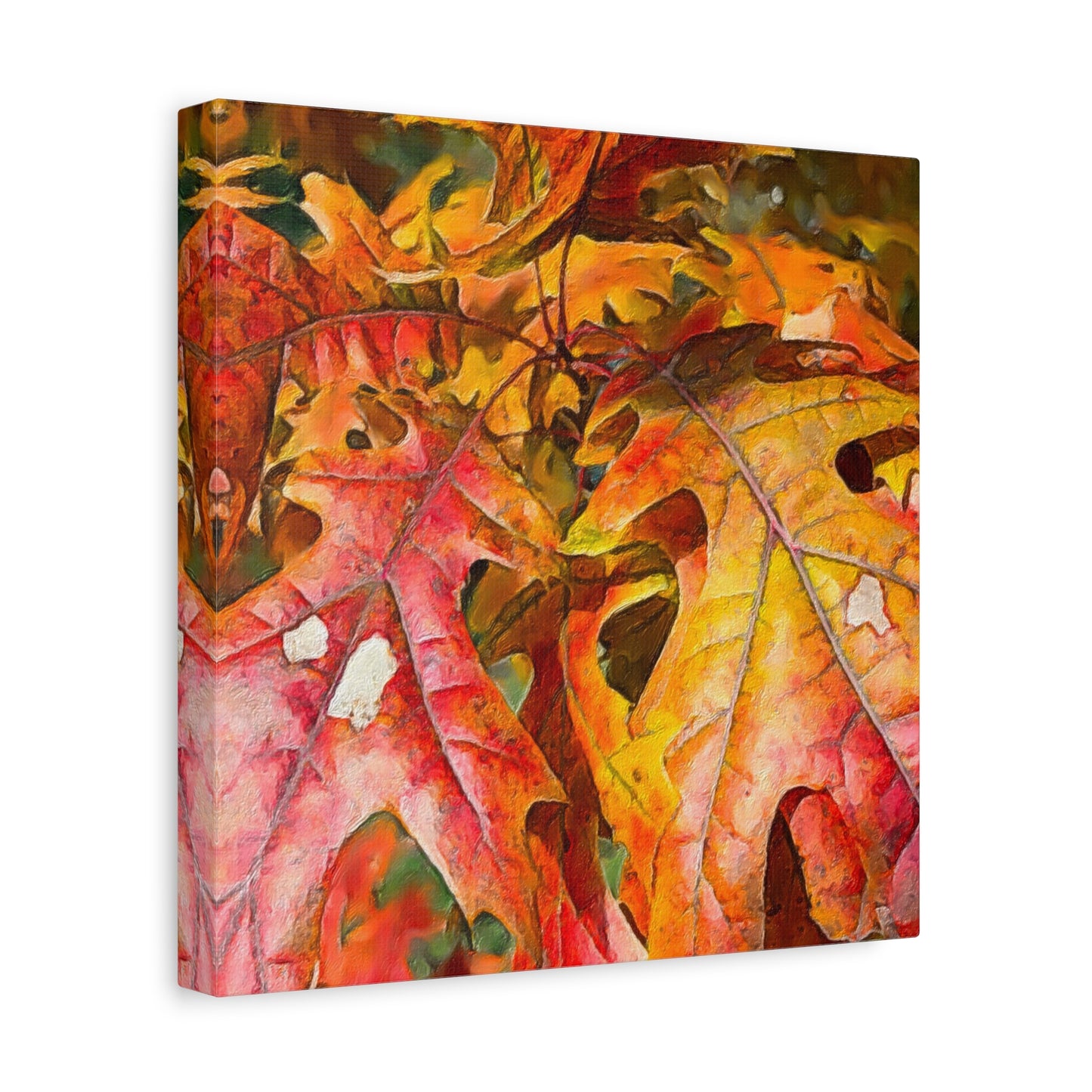 Autumn Series