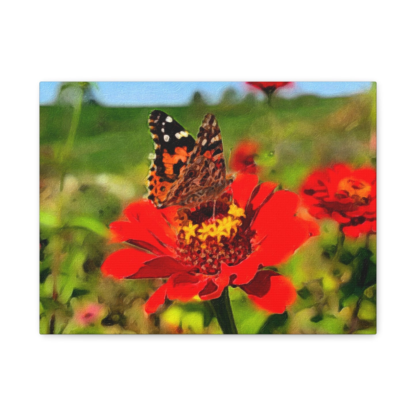 Blooms by the Back Porch Series