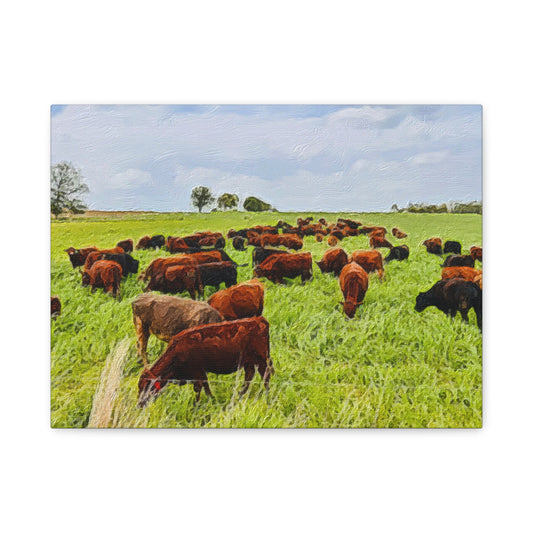 Down on the Farm Series